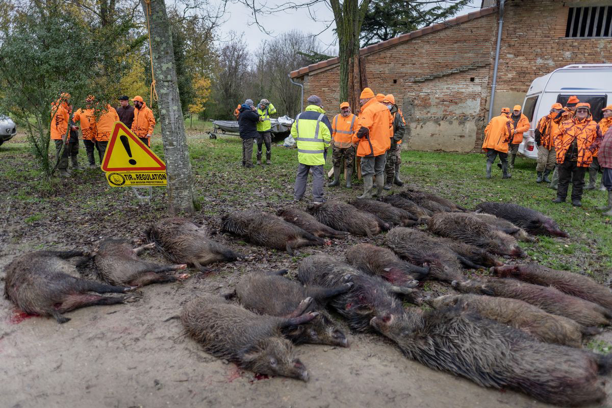 Les louvetiers / Toulouse
