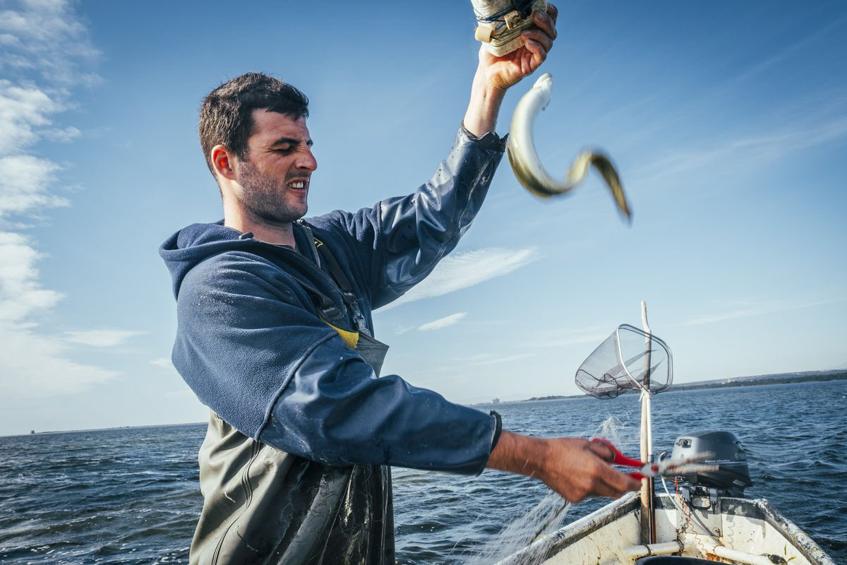 Pêcheur de l'Ayrolles / Gruissan