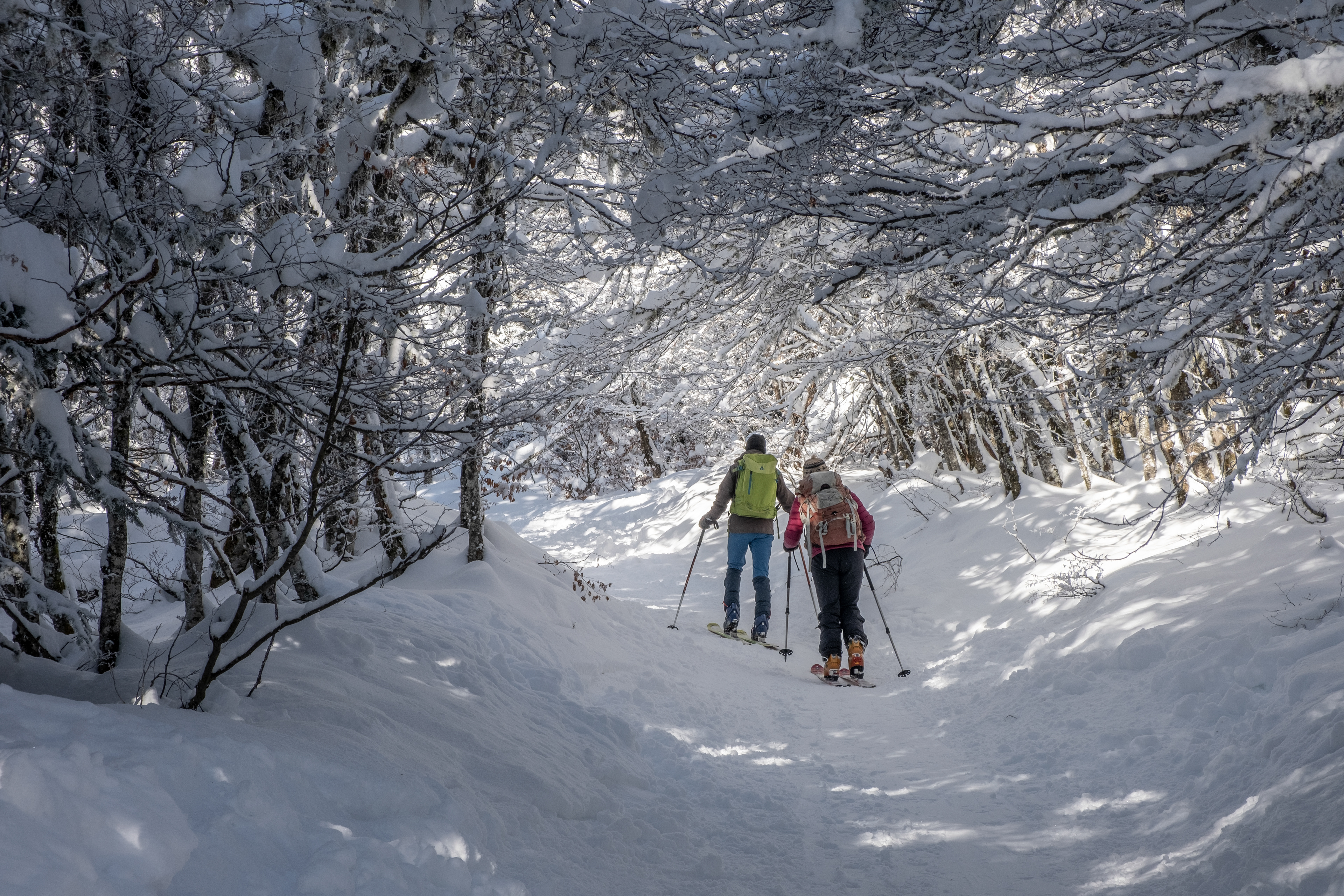 Ski de Randonnée Pyrénées