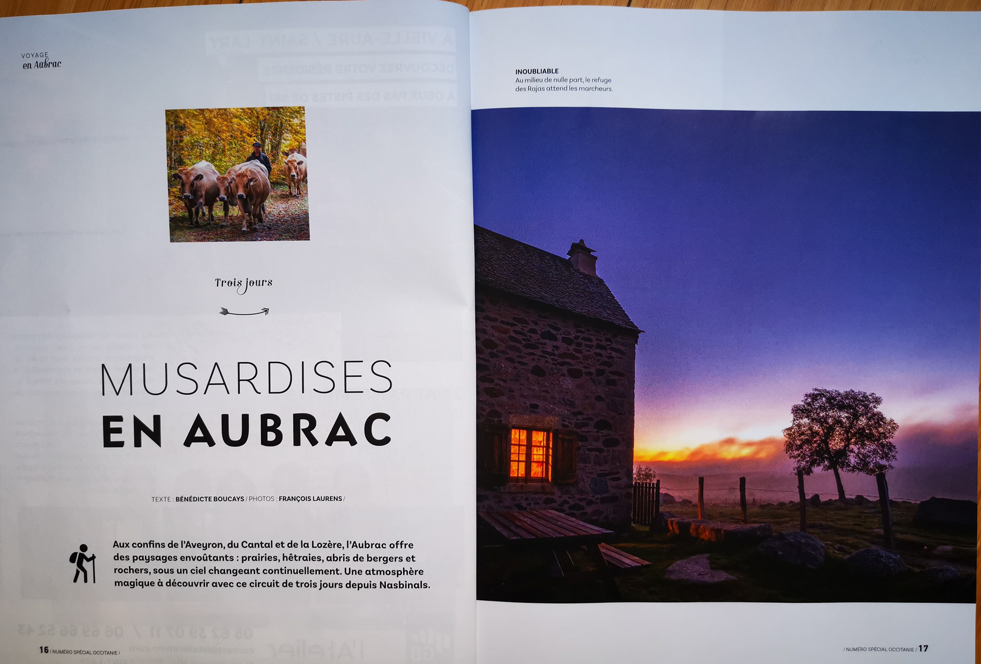 Pyrénées Magazine / Occitanie