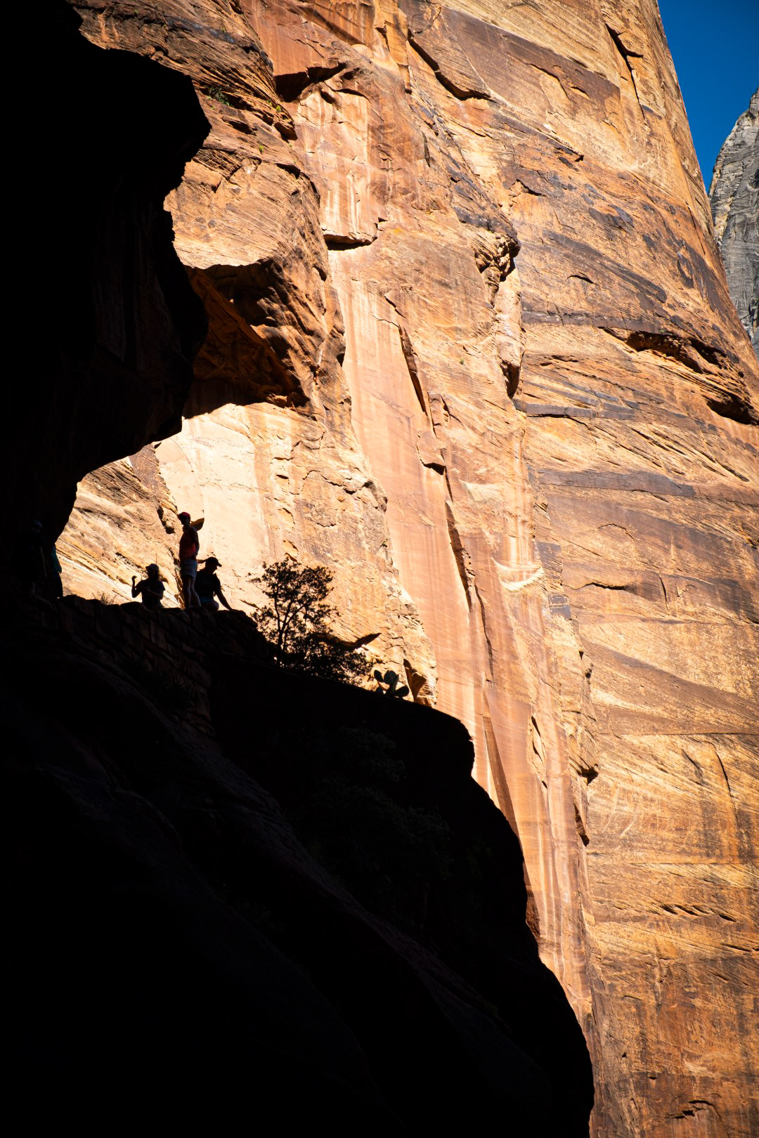 Angel's landing / Zion / Utah