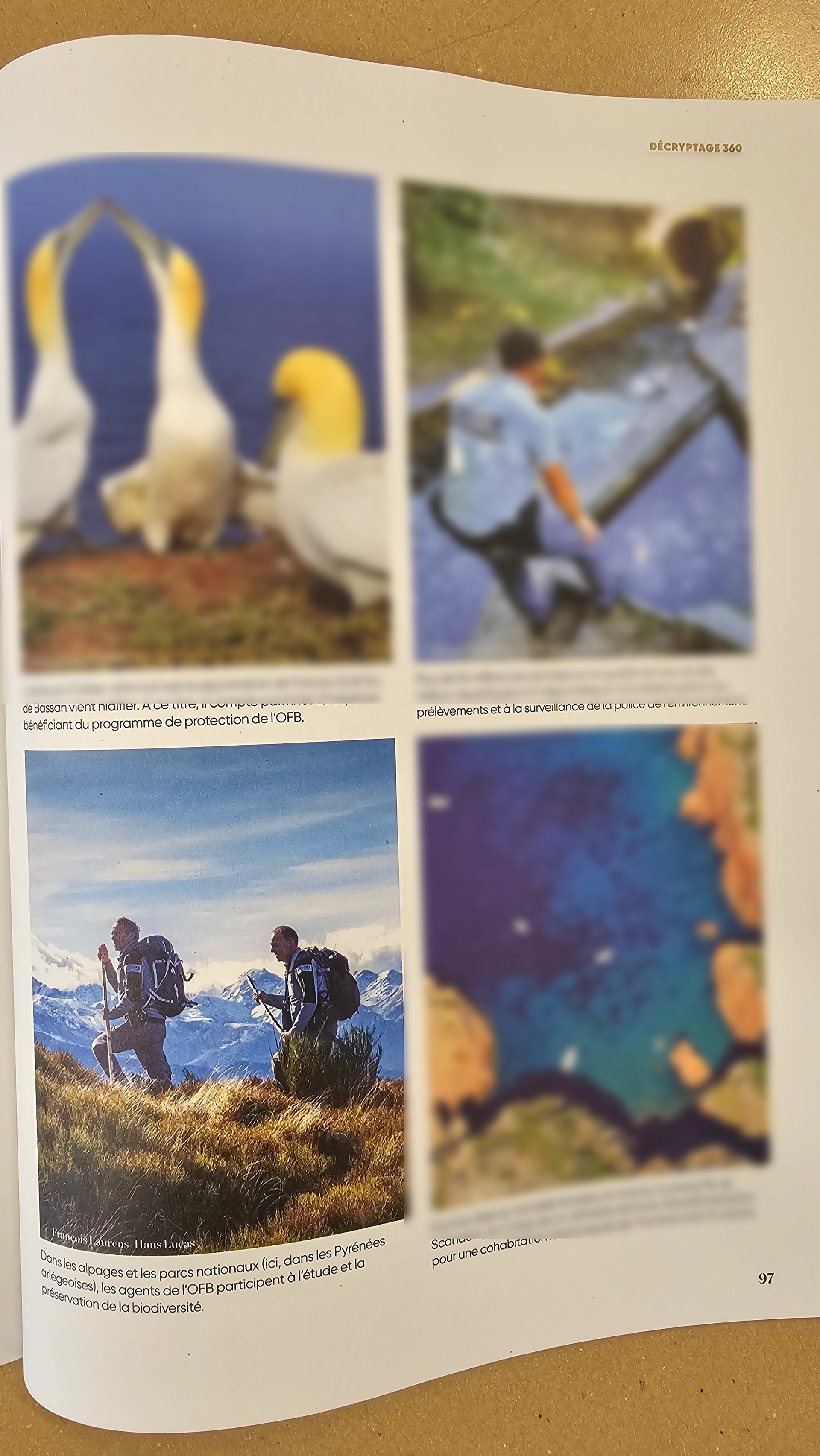 Ecologie 360 juin 25