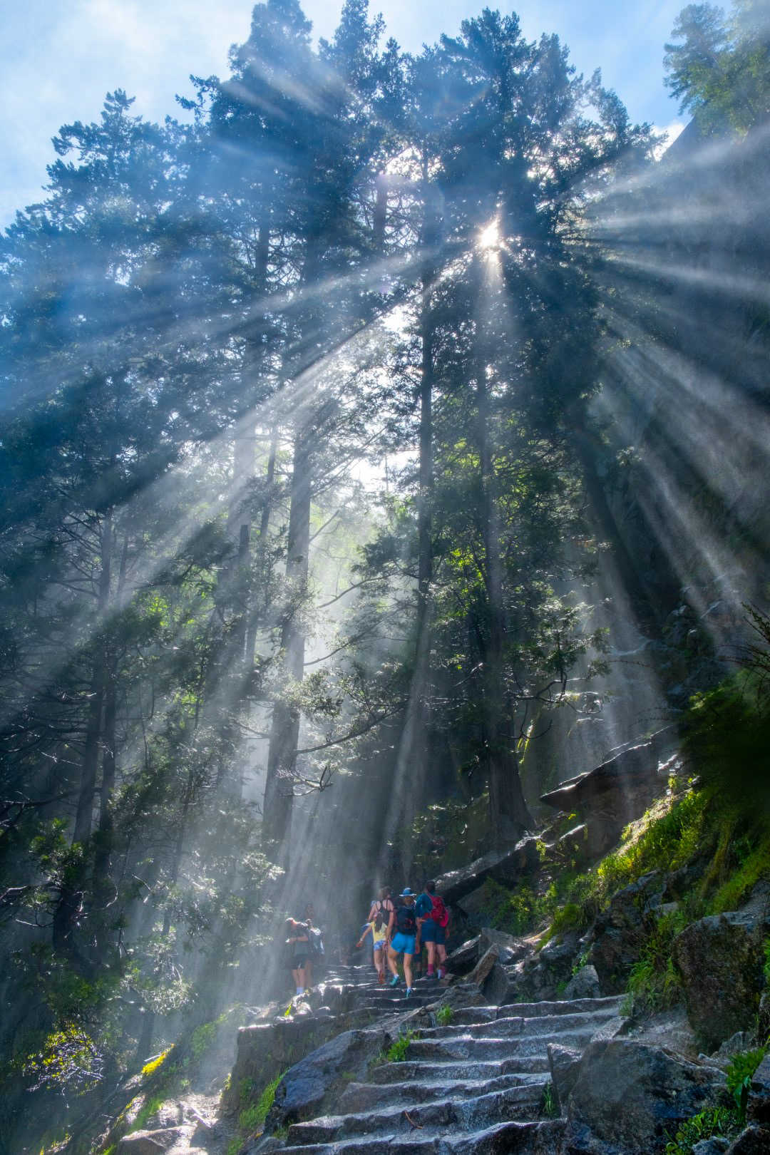 Yosemite national park