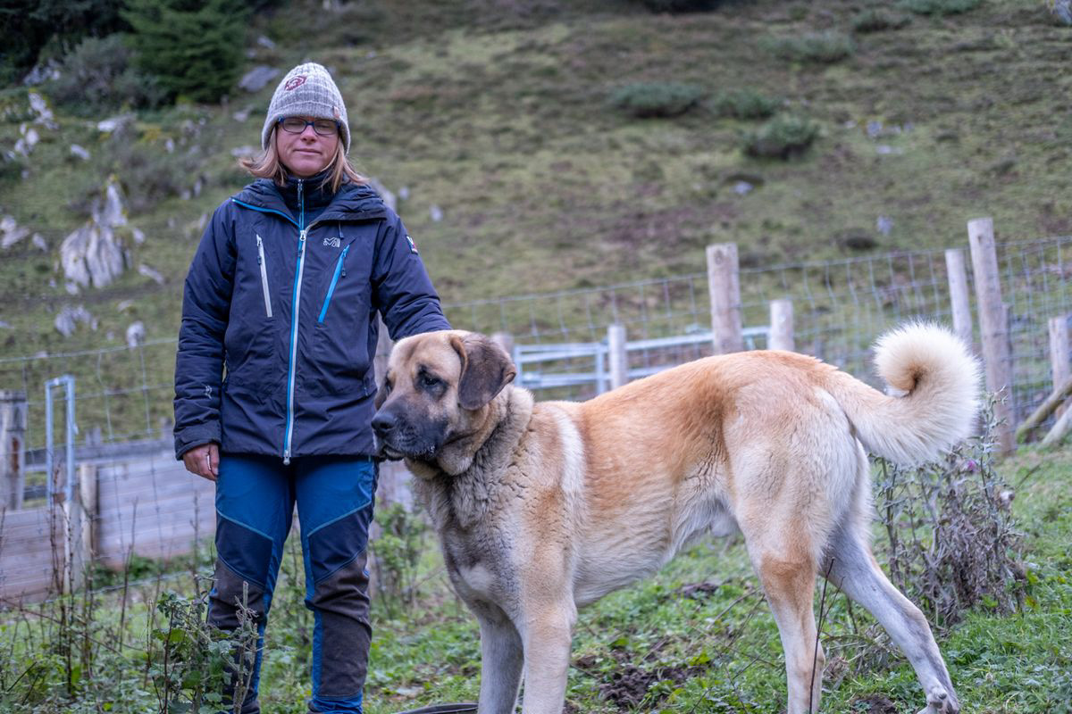 Bergère Ariégeoise