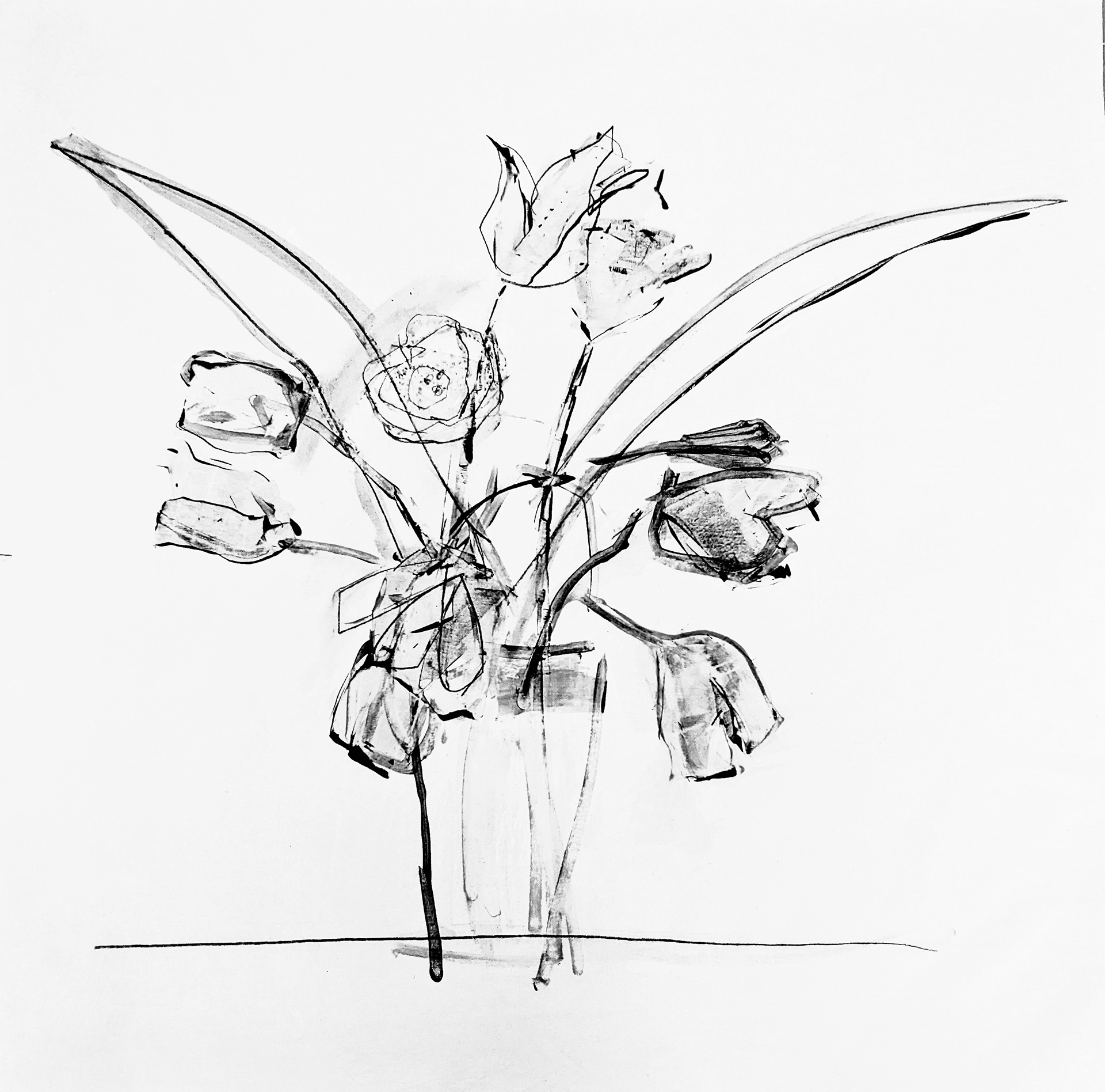 audrey -white 