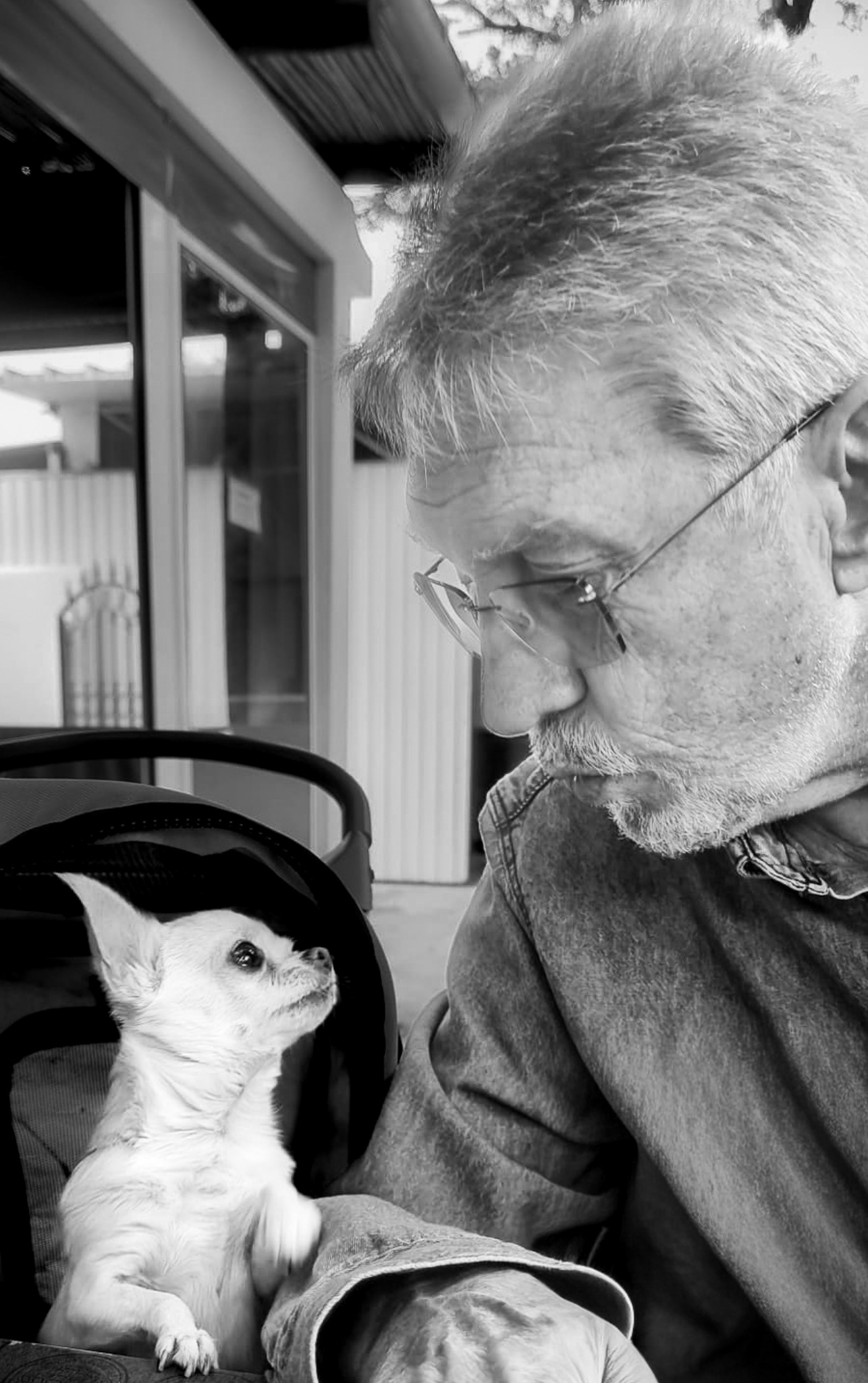 Black and white portrait of an elderly man looking at a small dog inside a carrier, sharing a quiet moment of connection.