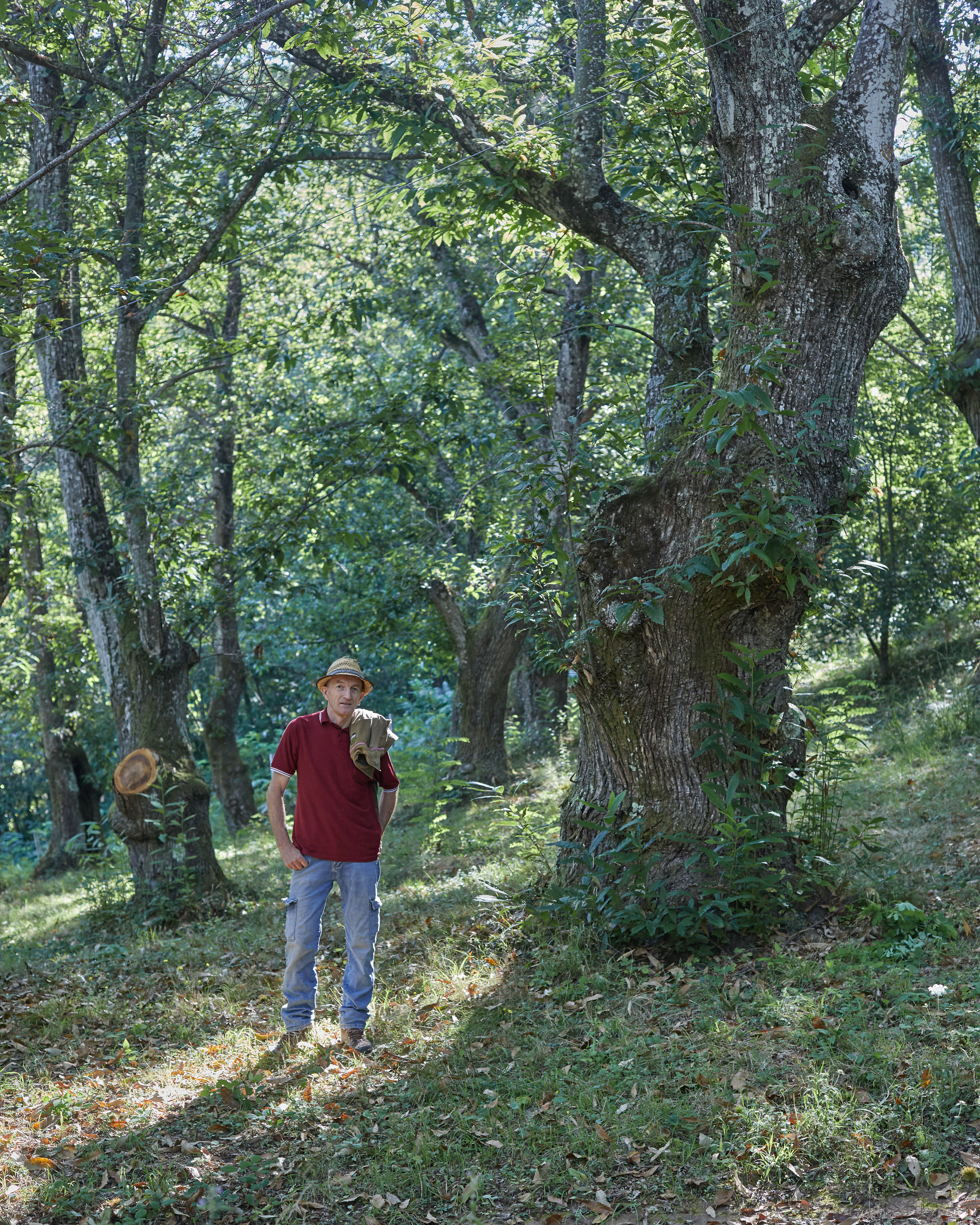 Ugo, member of the Chestnut Growers Association of Pistoia Mountains.