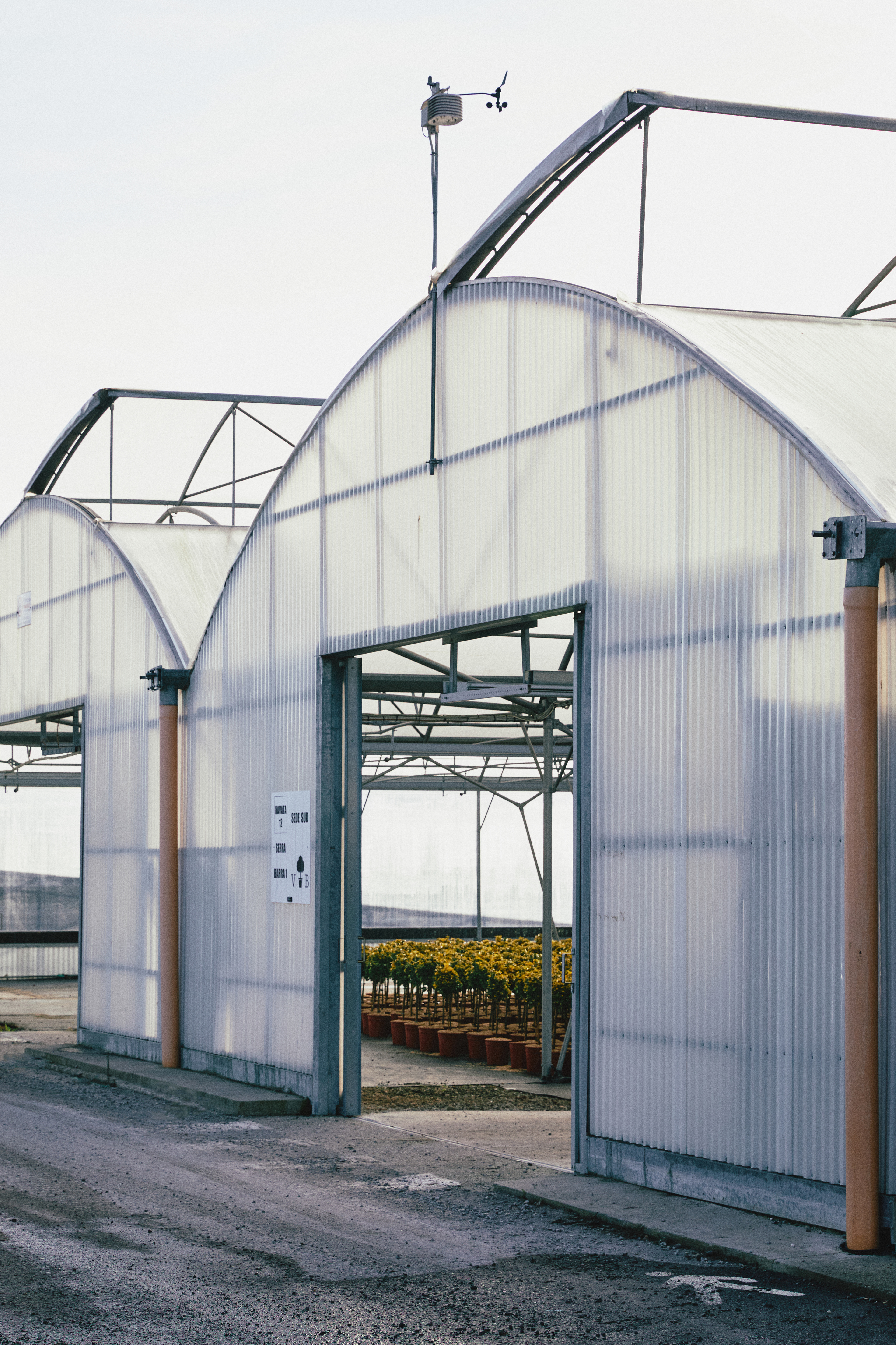 Reportage aziendale per il nuovo sito di un'azienda vivaistica pistoiese con investimenti nel settore tecnologico. La fotografia mette in evidenza l'infrastruttura del vivaio e il suo impegno verso l'uso di tecnologie sostenibili ed efficienti, un esempio di come l'innovazione può integrarsi nella tradizione florovivaistica, garantendo un'irrigazione uniforme e un minore spreco di acqua.