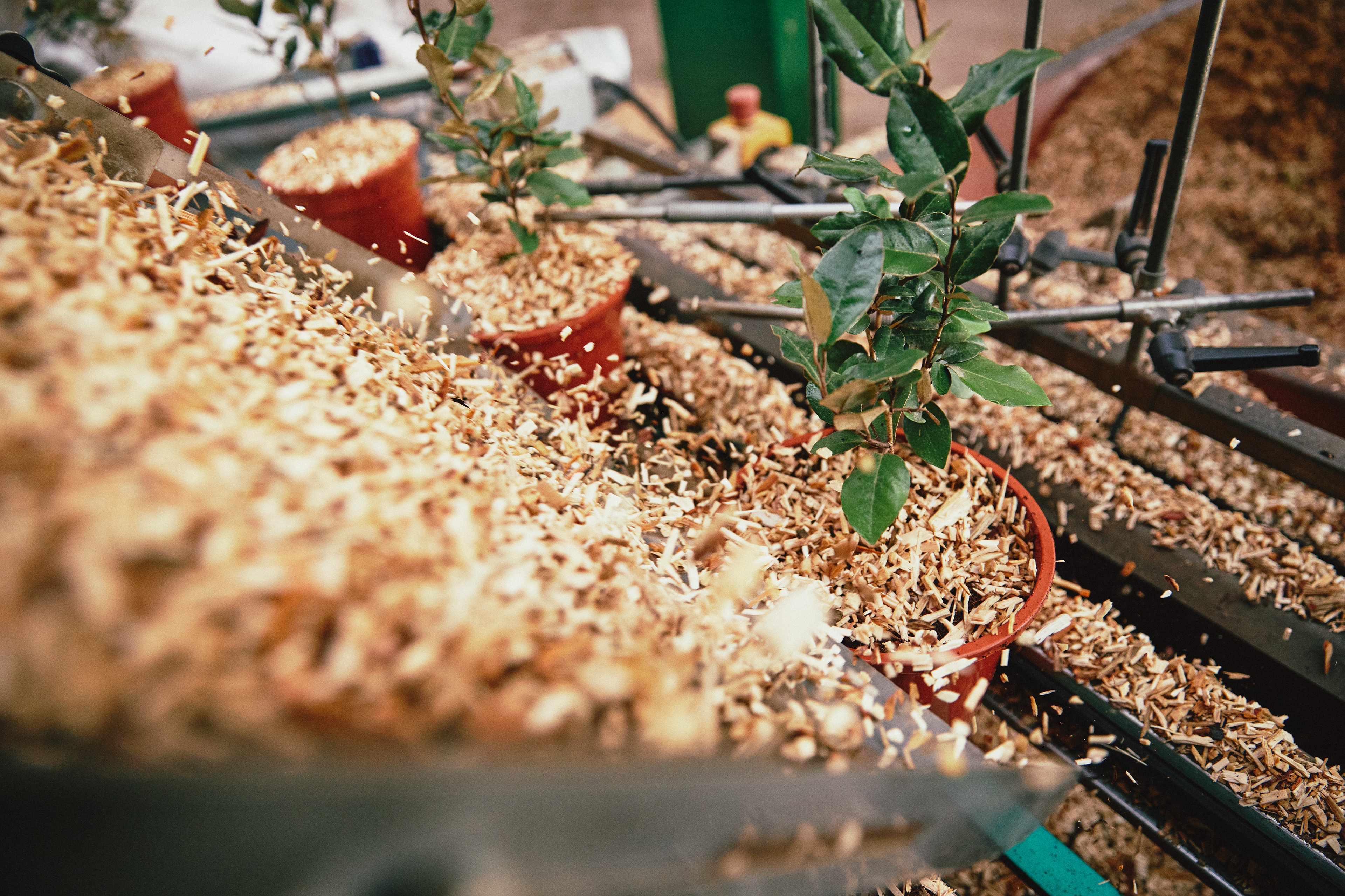 Reportage aziendale per il nuovo sito di un'azienda vivaistica pistoiese con investimenti nel settore tecnologico. Questa fotografia mostra un macchinario altamente specializzato utilizzato nel processo di invasatura delle piante. Il macchinario, progettato per automatizzare e velocizzare l’inserimento delle piante nei contenitori, rappresenta l’innovazione nel settore florovivaistico. Grazie a questa tecnologia, i vivai possono garantire una produzione più efficiente, riducendo i tempi di lavoro e migliorando la qualità del prodotto finale. 