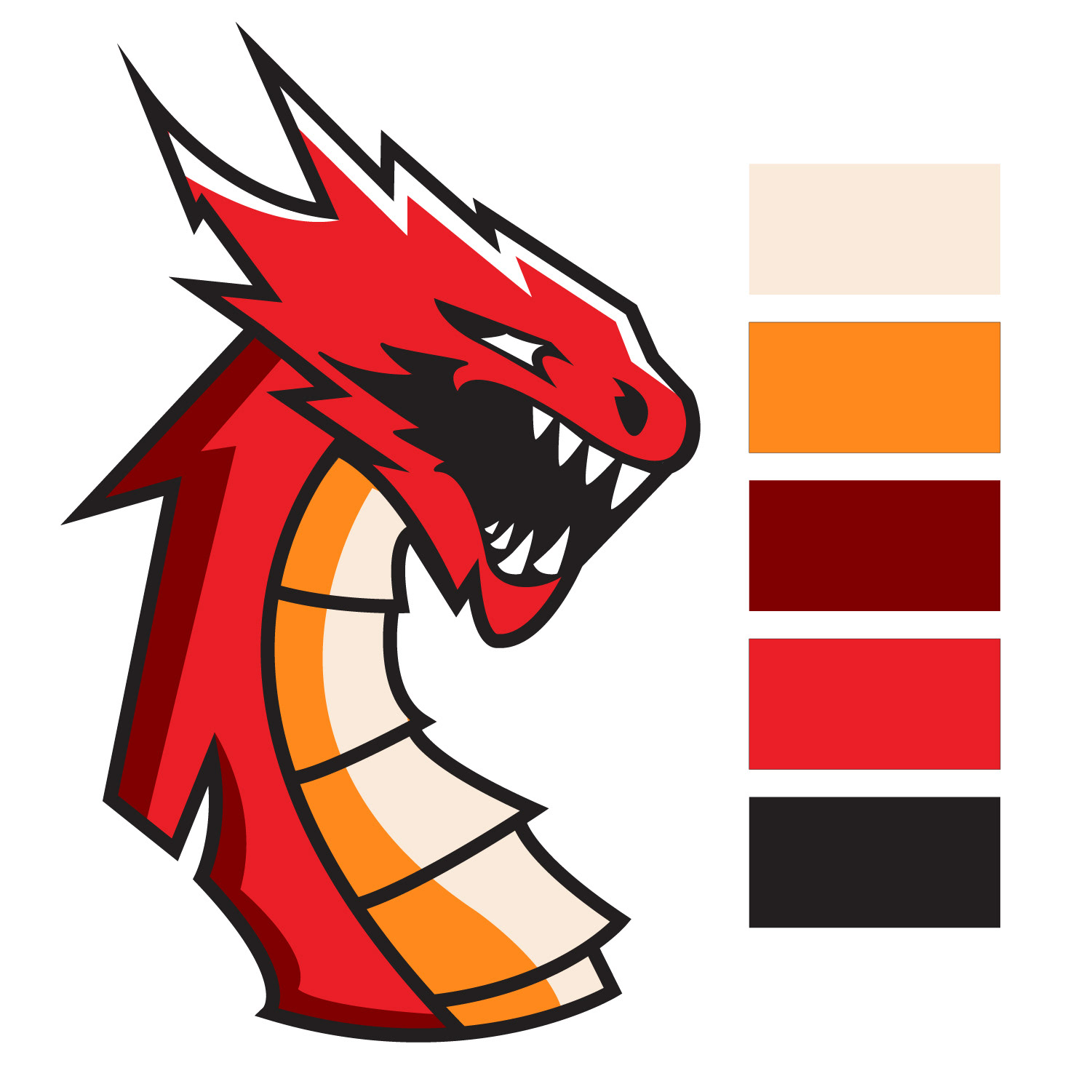 Color Palette and Final Product