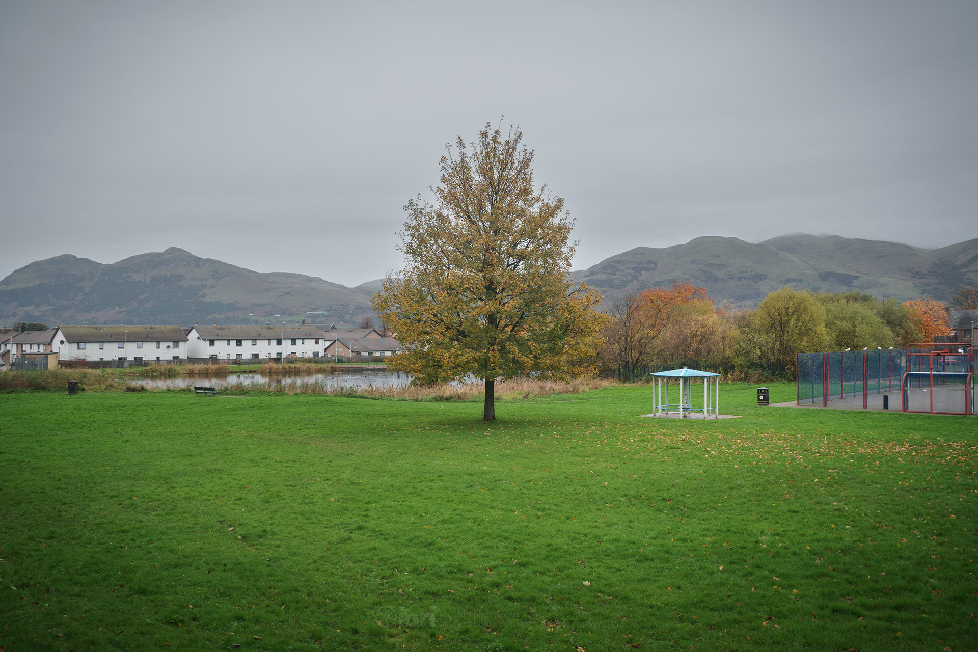 08 November 2021. Leaves shedding.