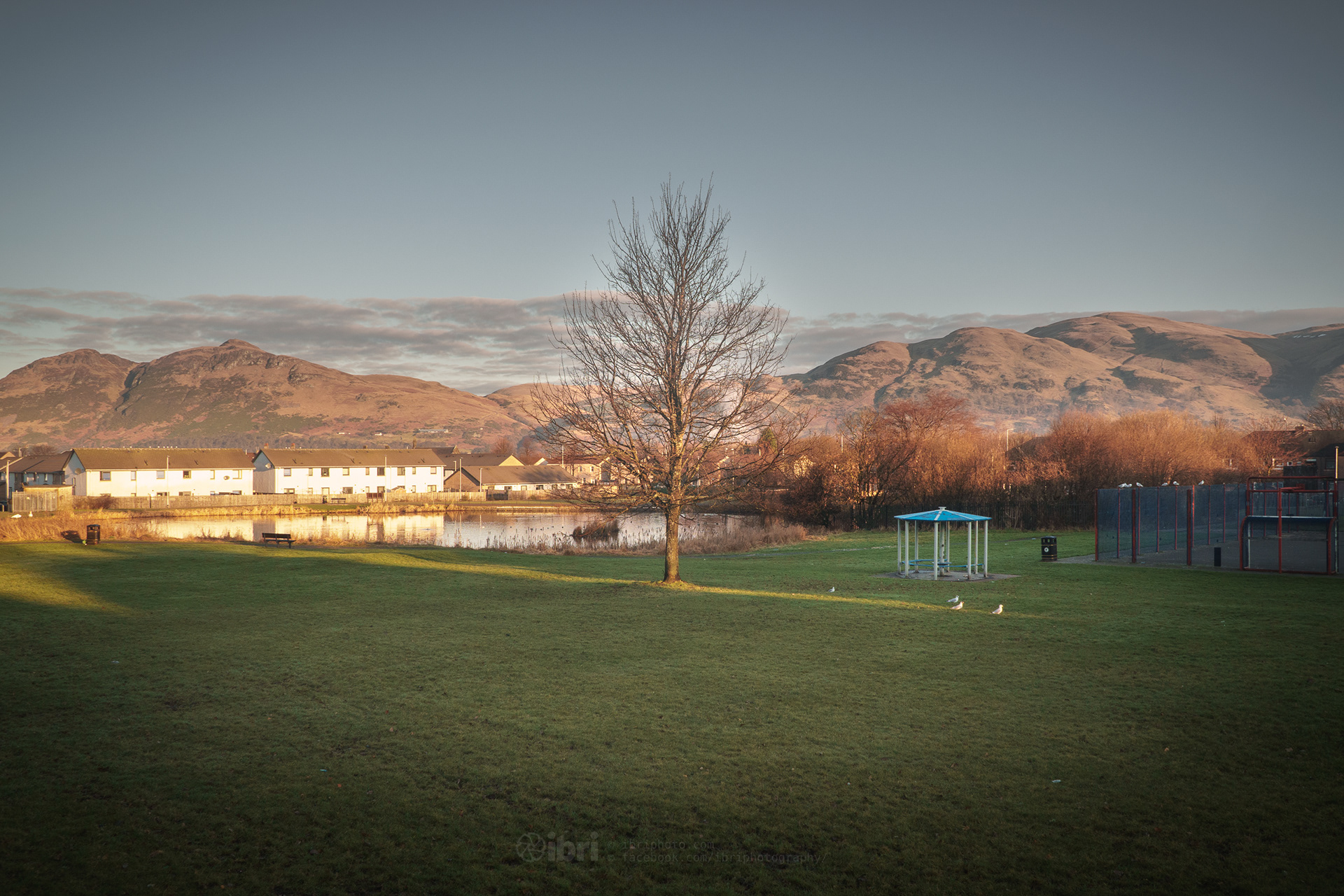 01 March 2021. Missed a couple of weeks there.