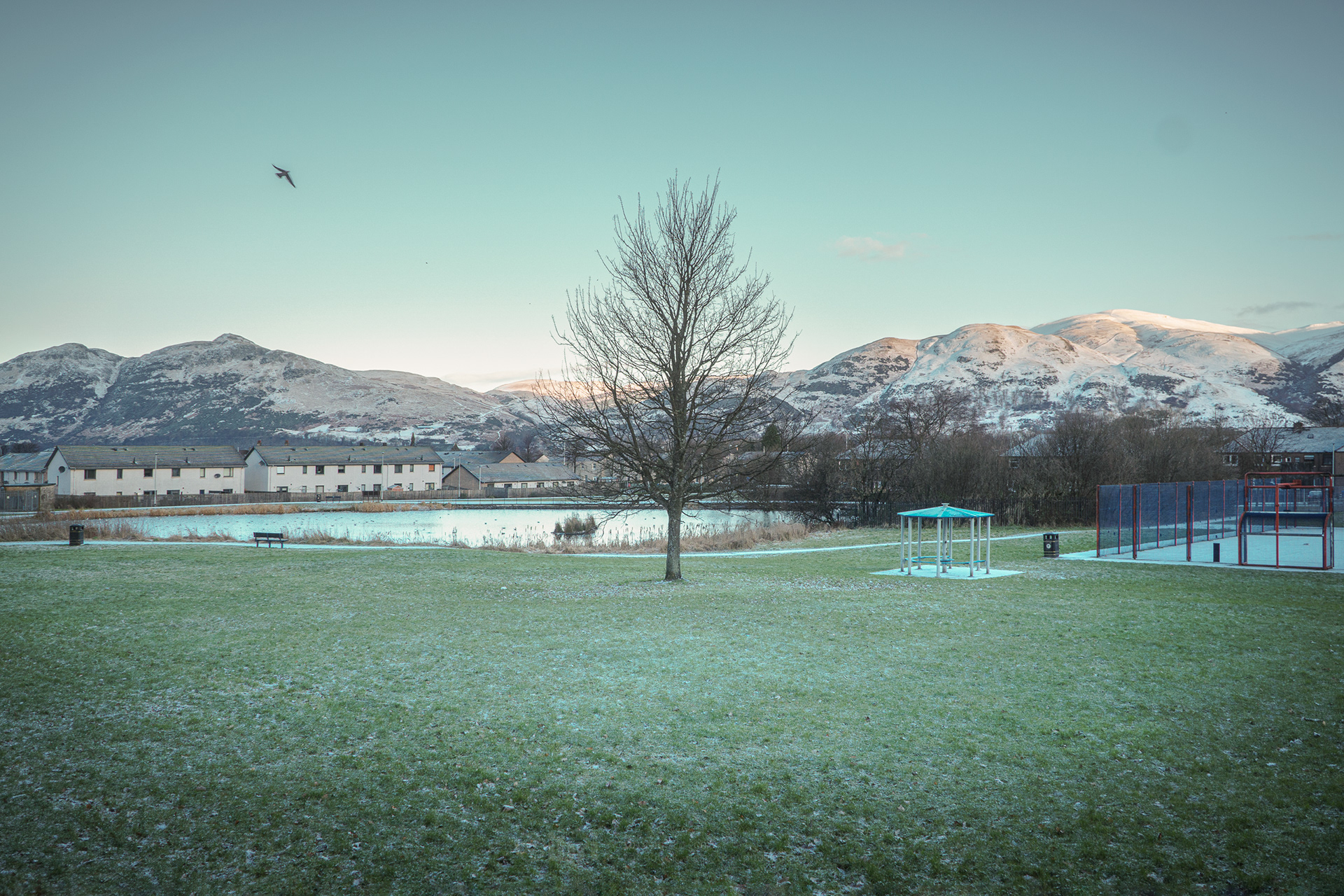 08 February 2021 (a bit later)