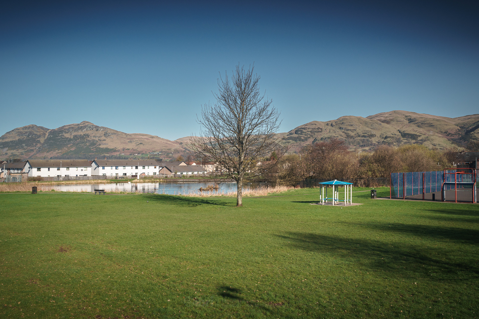 02 April 2021 - Spring?