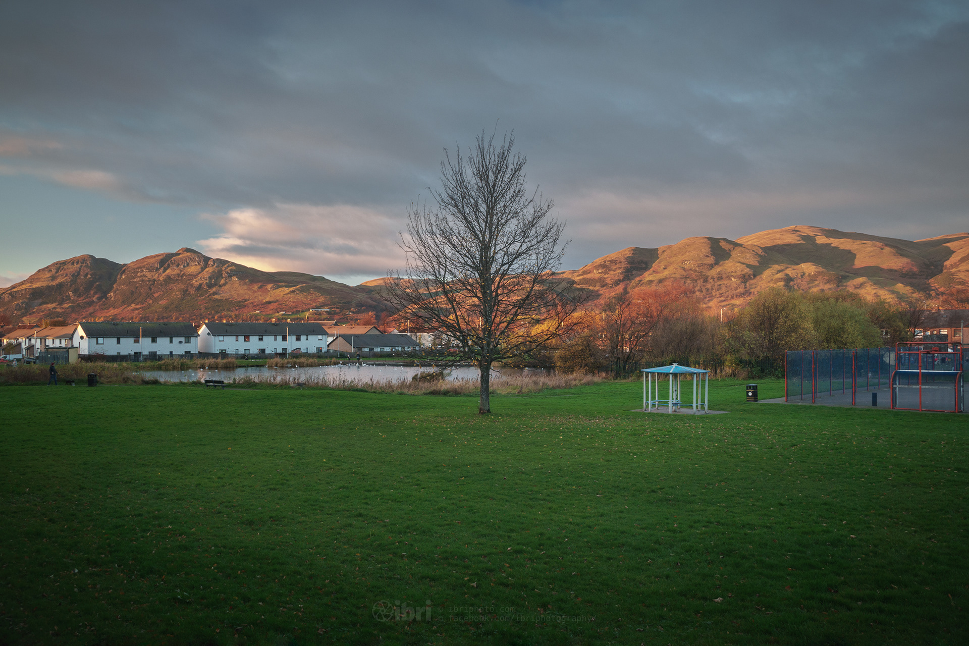 21 November 2021. Most leaves gone, all the colour now on the Ochil Hills behind.