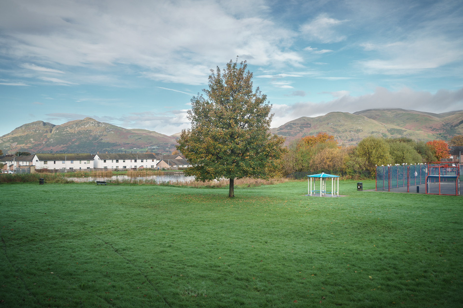 02 November 2021. Colours changing everywhere.