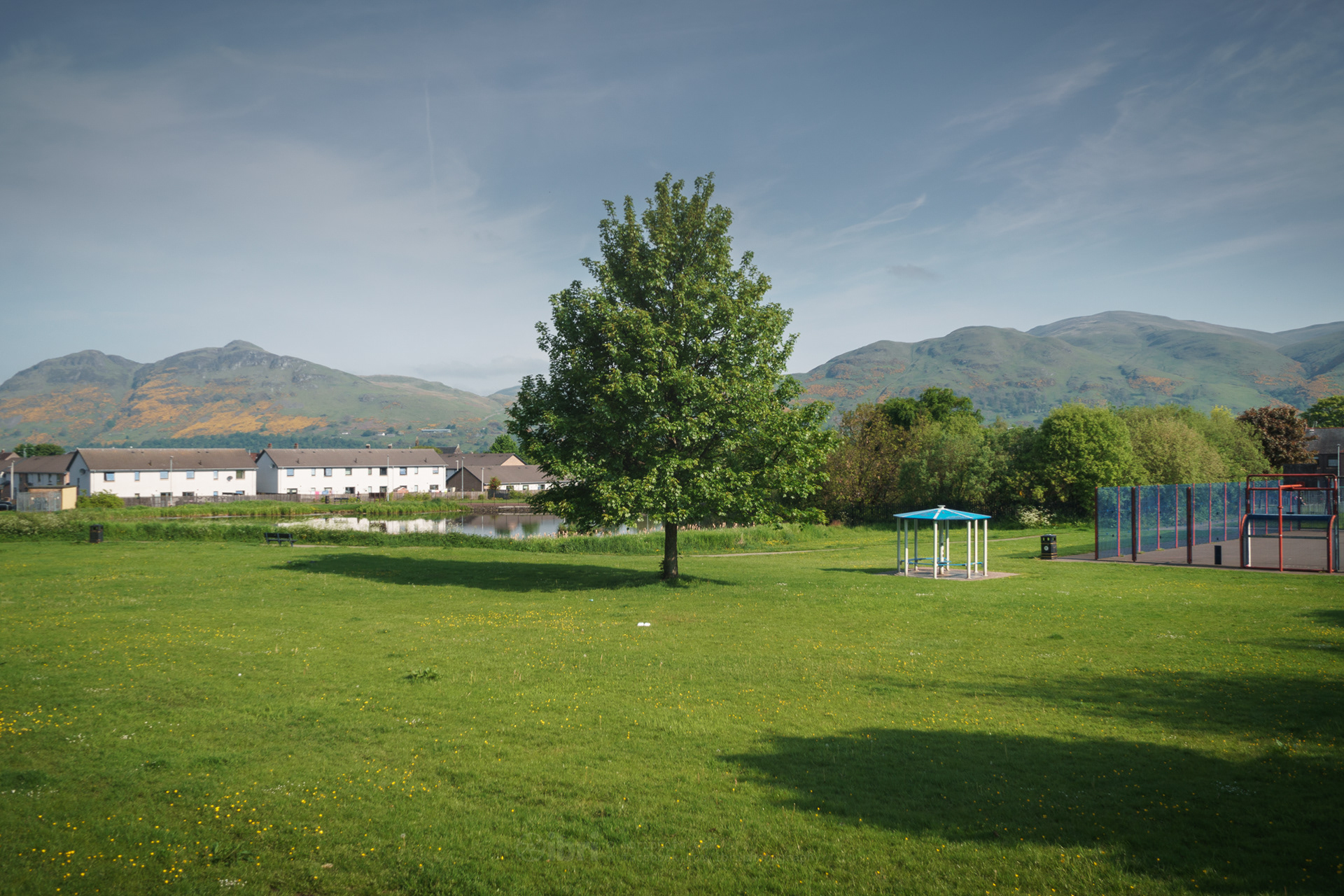 02 June 2021 - all these leaves appeared pretty quickly