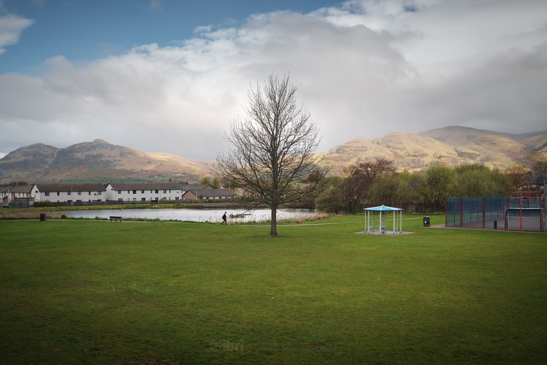 27 April 2021 - buds definitely showing now