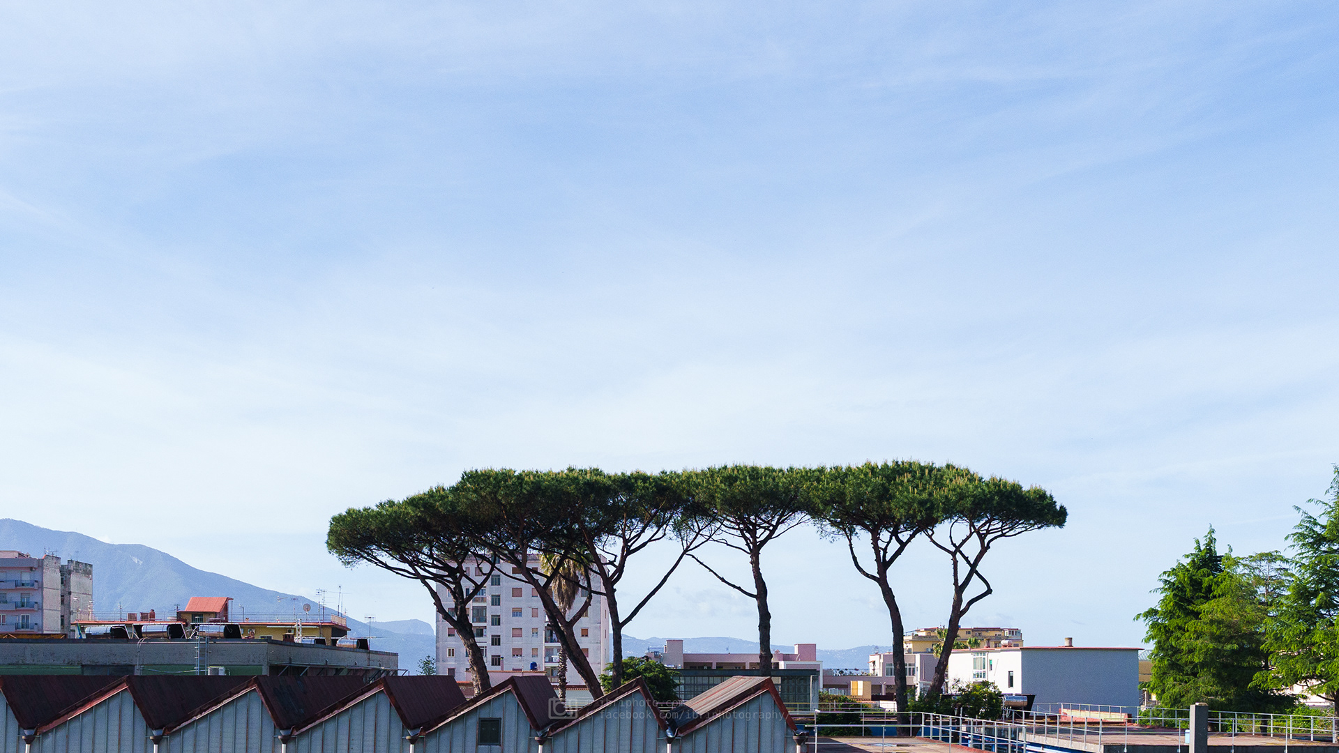 Some of the the sun soaked and eclectic urban architecture along Strada State 145