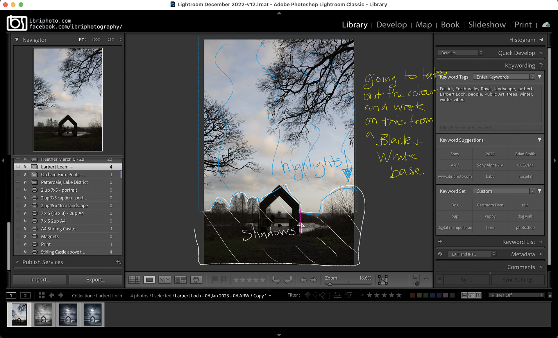 After importing and organising all the RAW shots into Lightroom (LR), a suitable image was selected and edited to improve the global look of the photo.
