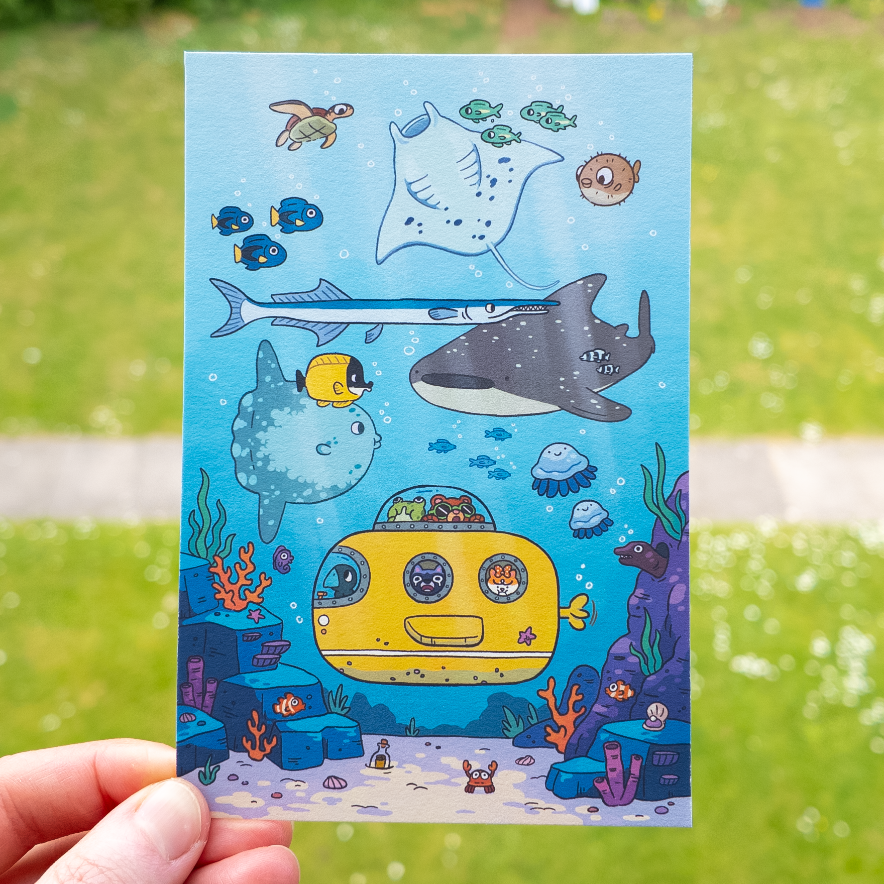 under the sea themed illustration