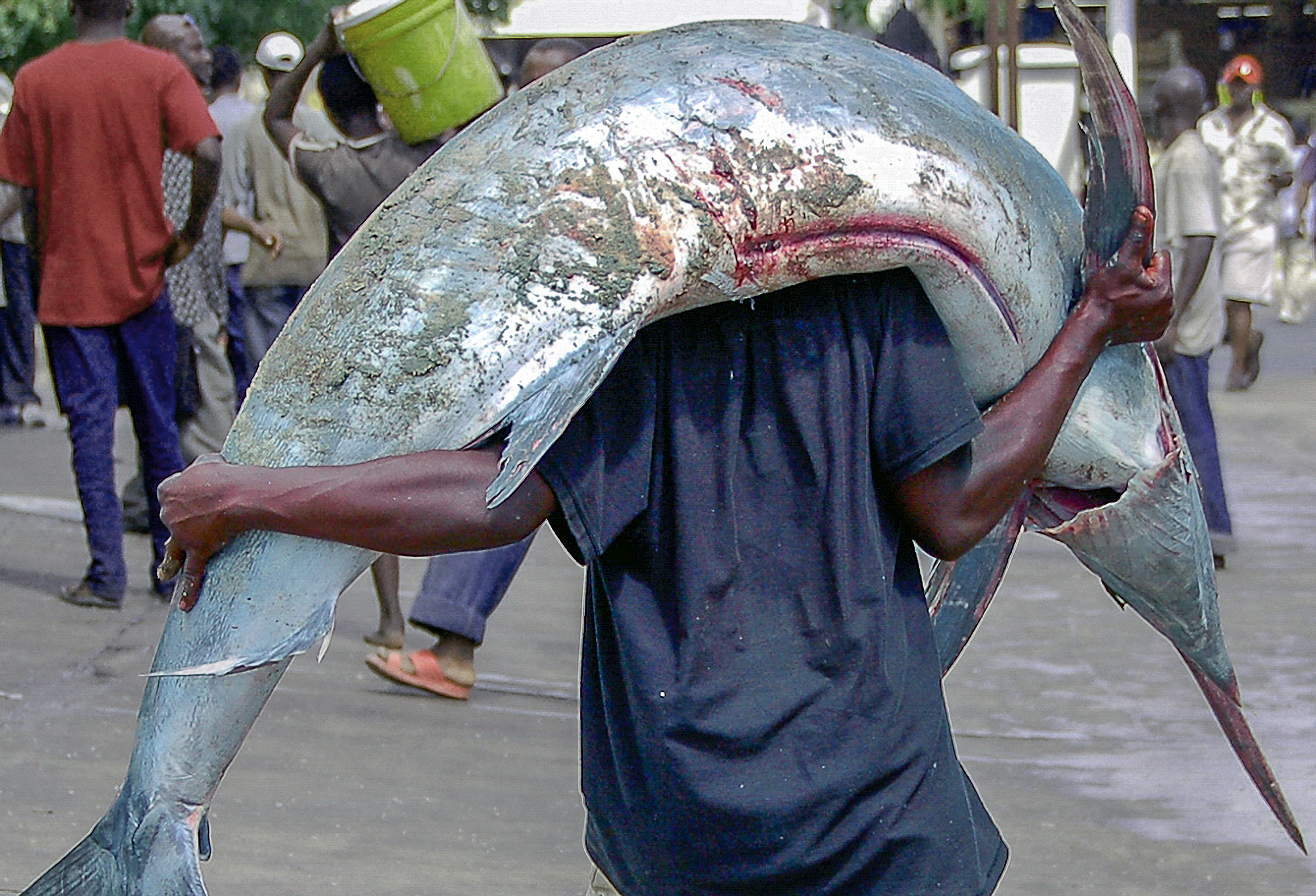 Port pesquer de Dar es Salaam (Tanzània)