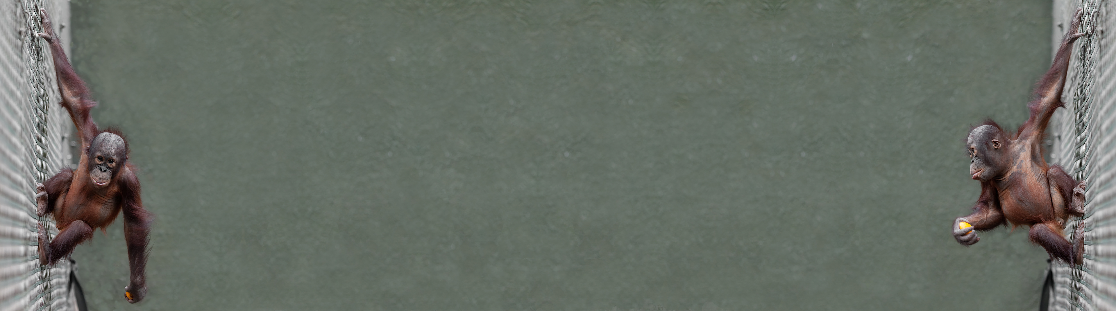 Dual monitor background