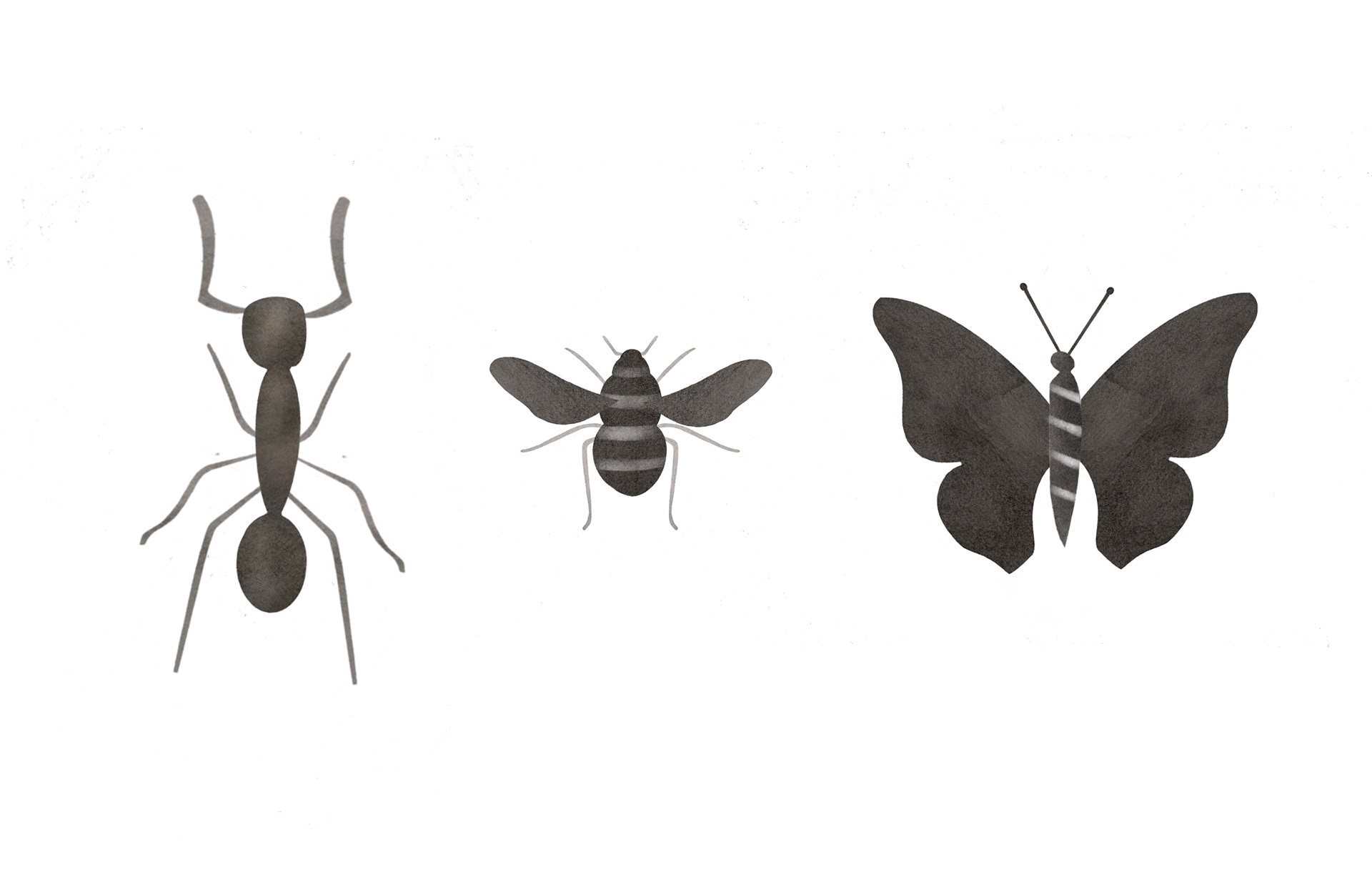 Personaggi illustrati / Illustrated Characters