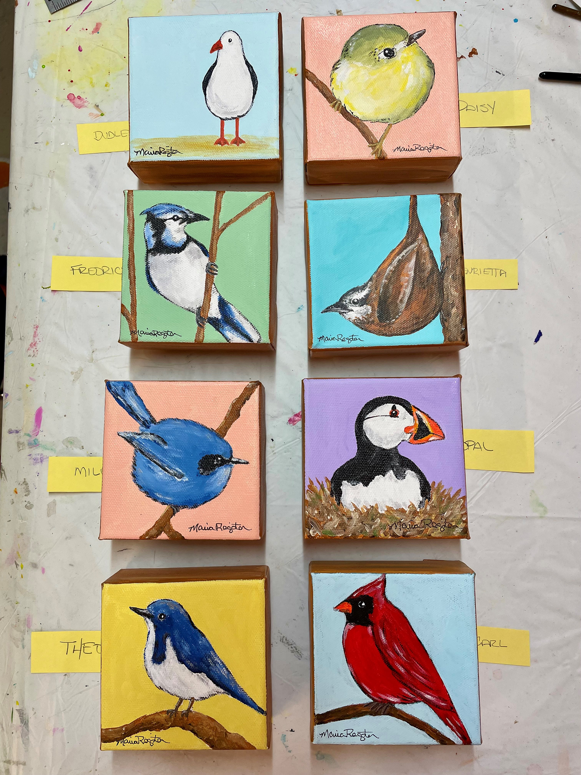New collection of little birds 3