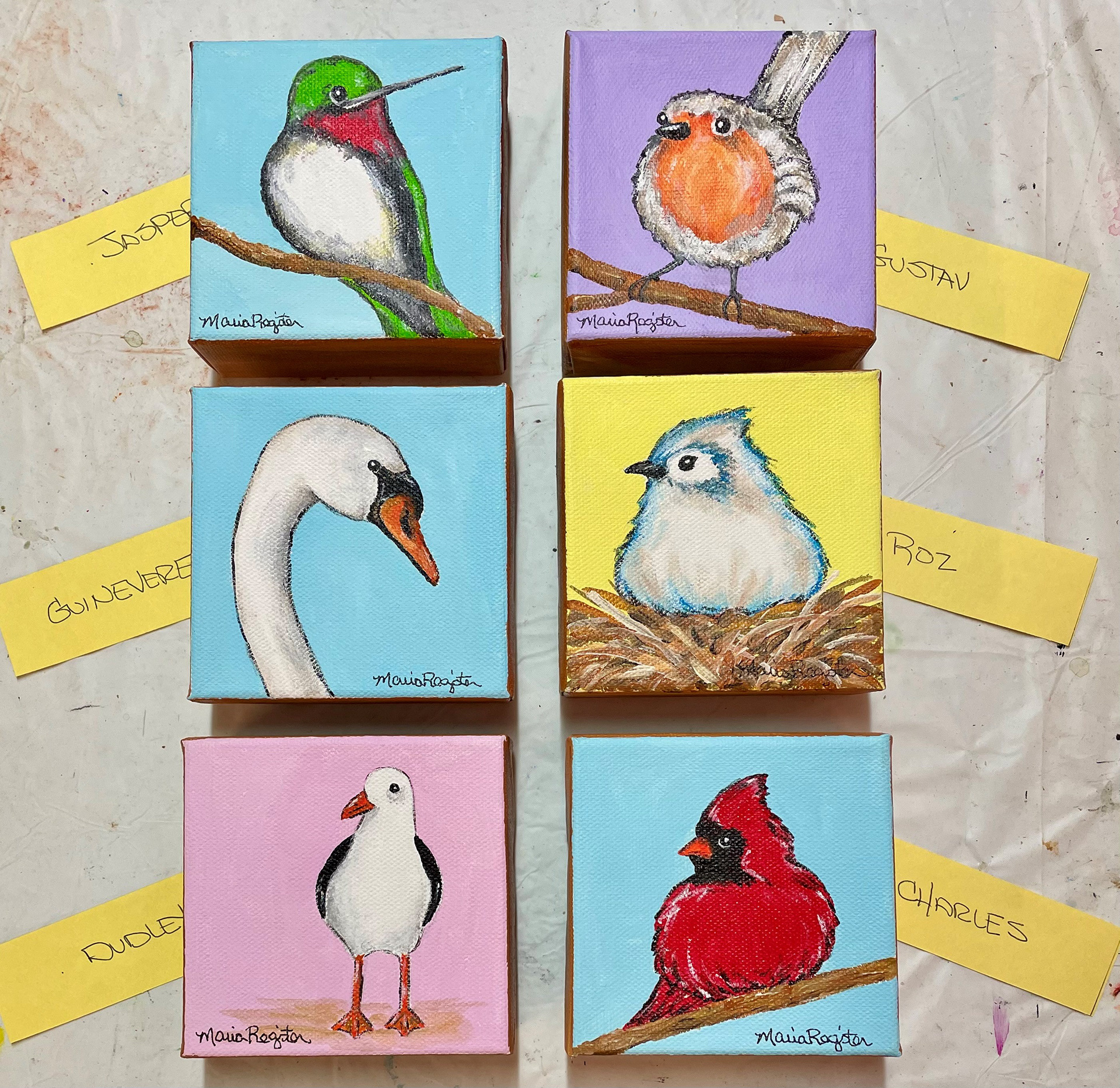 New collection of little birds 1