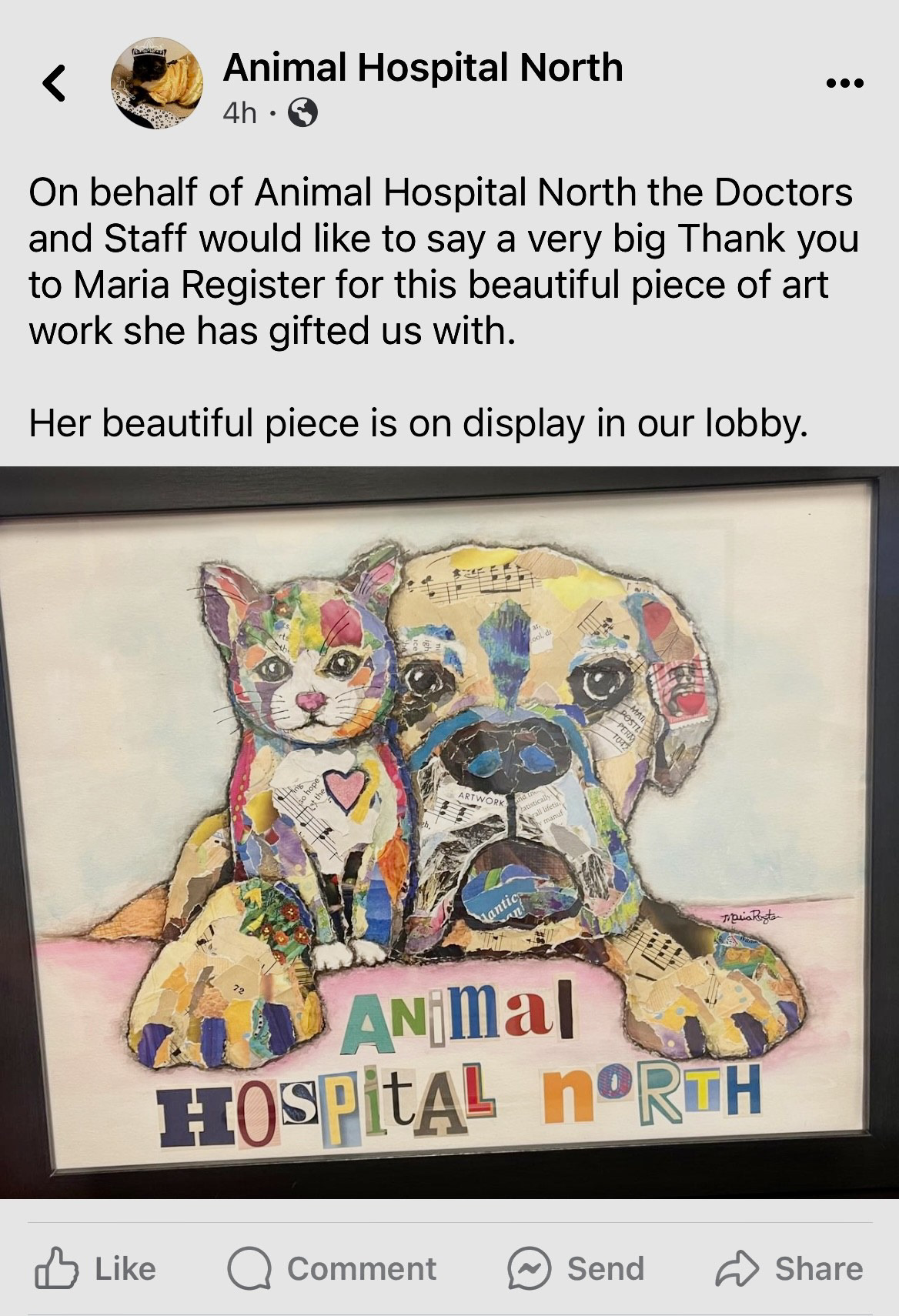 2024 Animal Hospital North