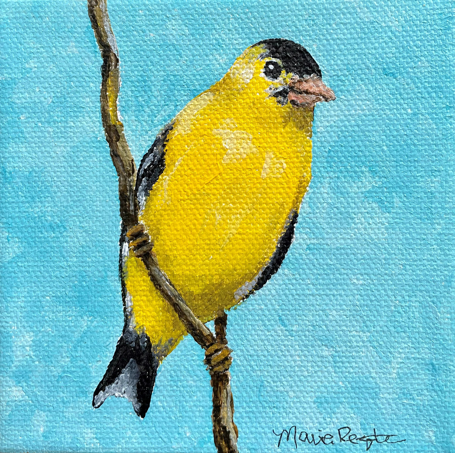 "Finnegan" 4"x4" acrylic on canvas