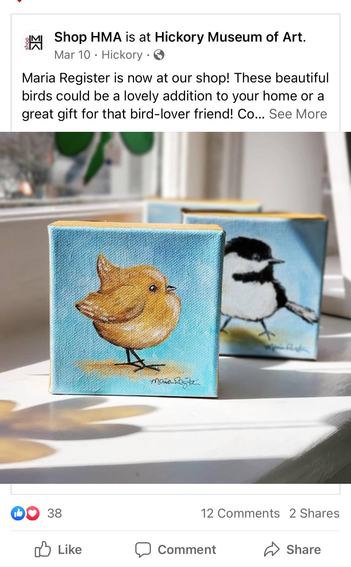 2021 New chunky bird canvases at the Hickory Museum of Art Gallery Store
