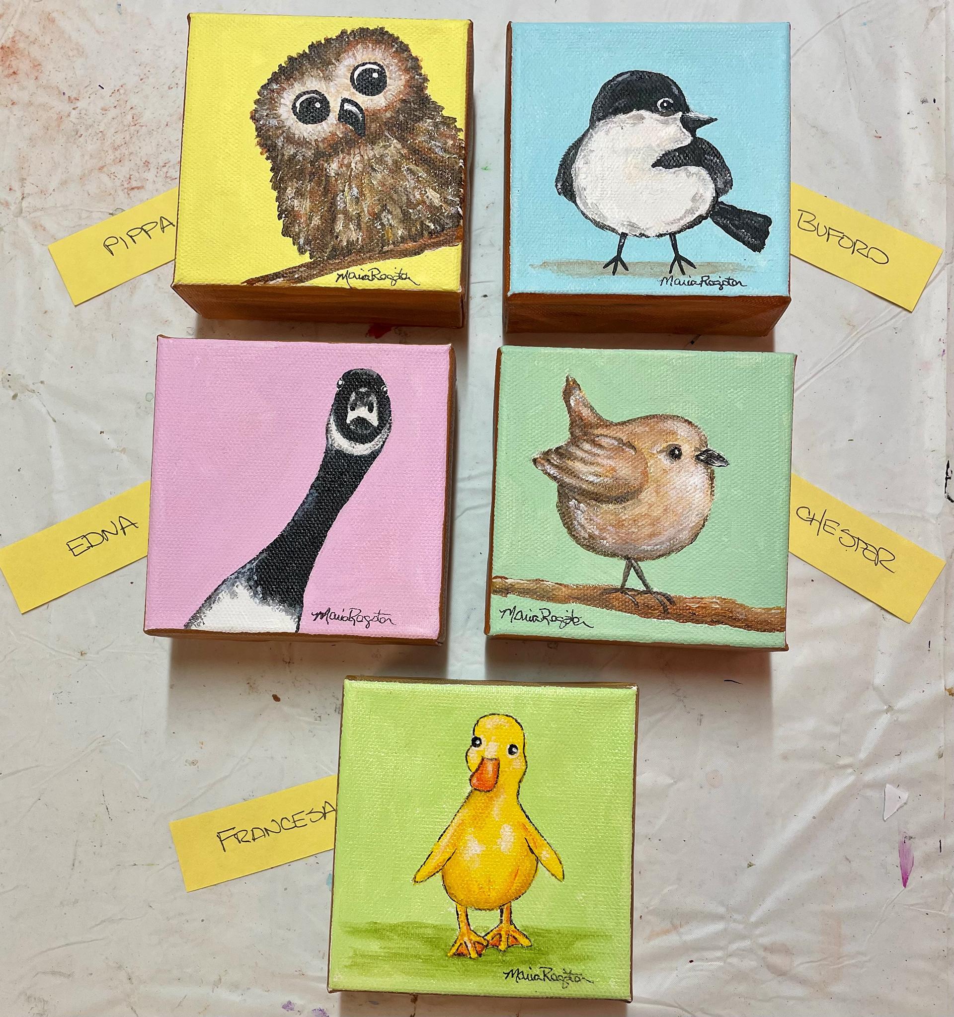 New collection of little birds 2