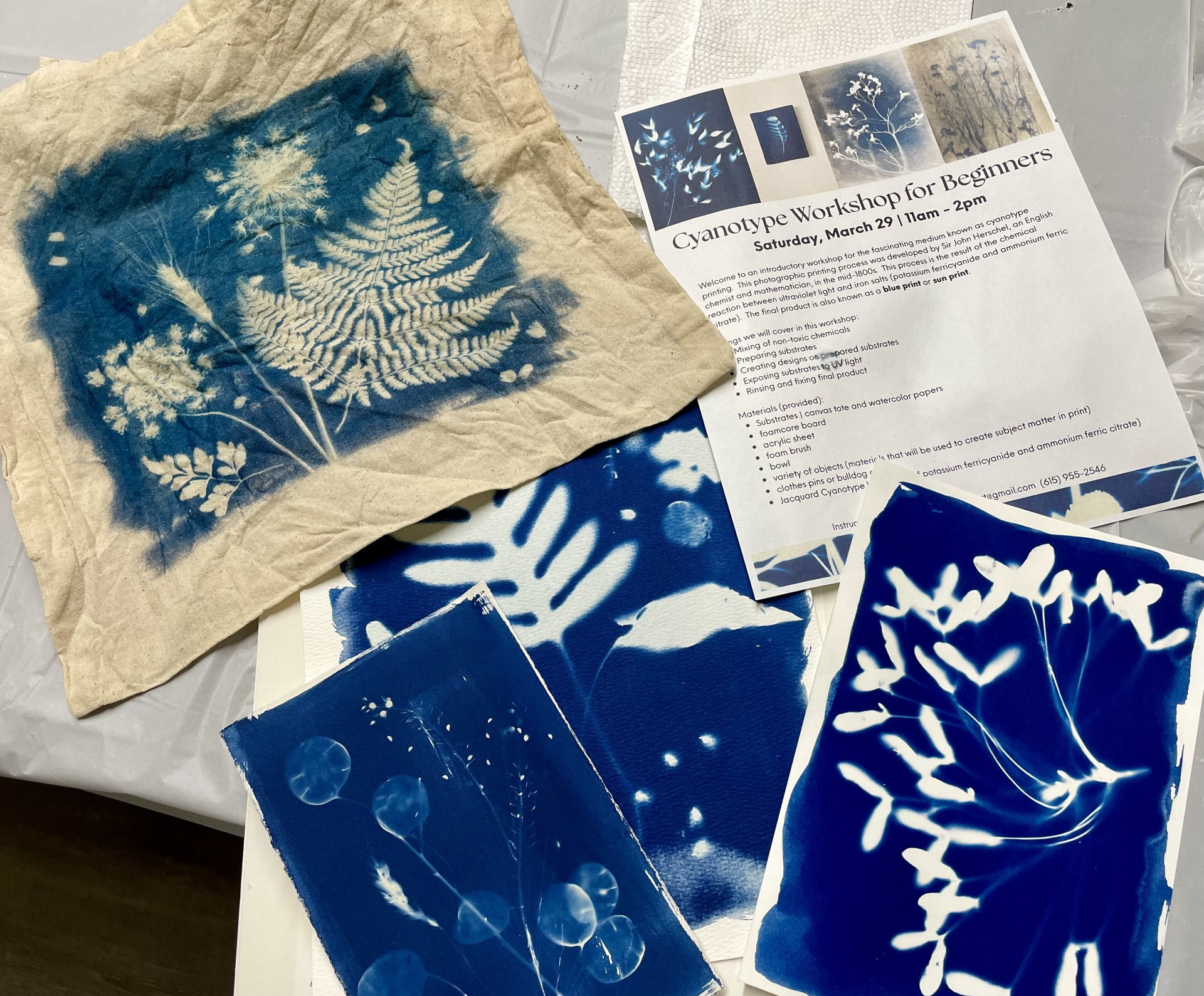 March 2025 Cyanotype workshop participant
