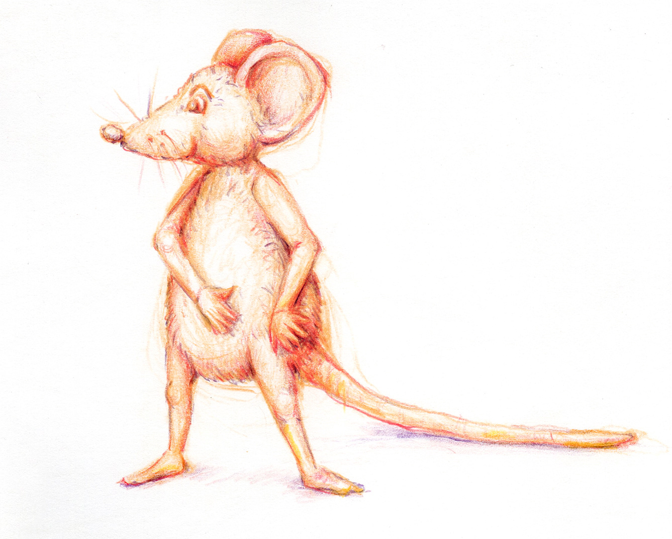 2023 © Creatio Media & Design - Mouse character