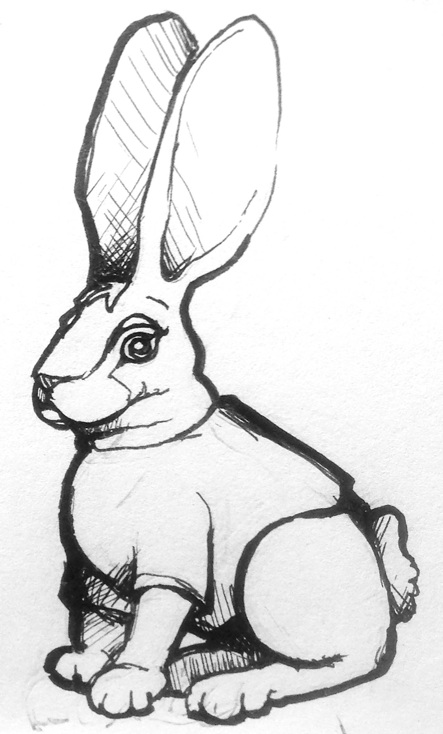Rough sketch 2