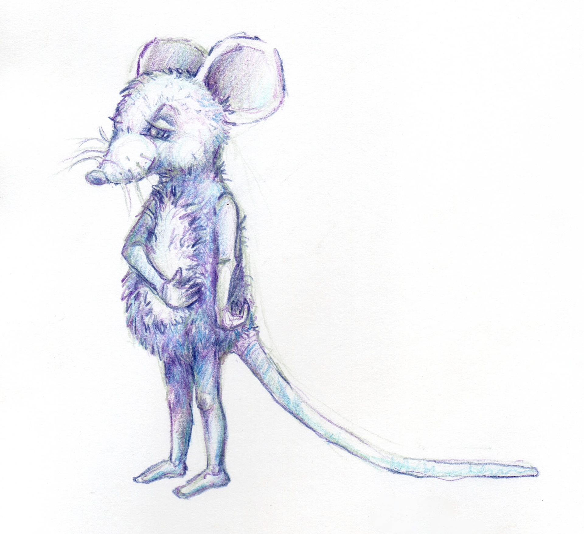 2023 © Creatio Media & Design - Scruffy Mouse
