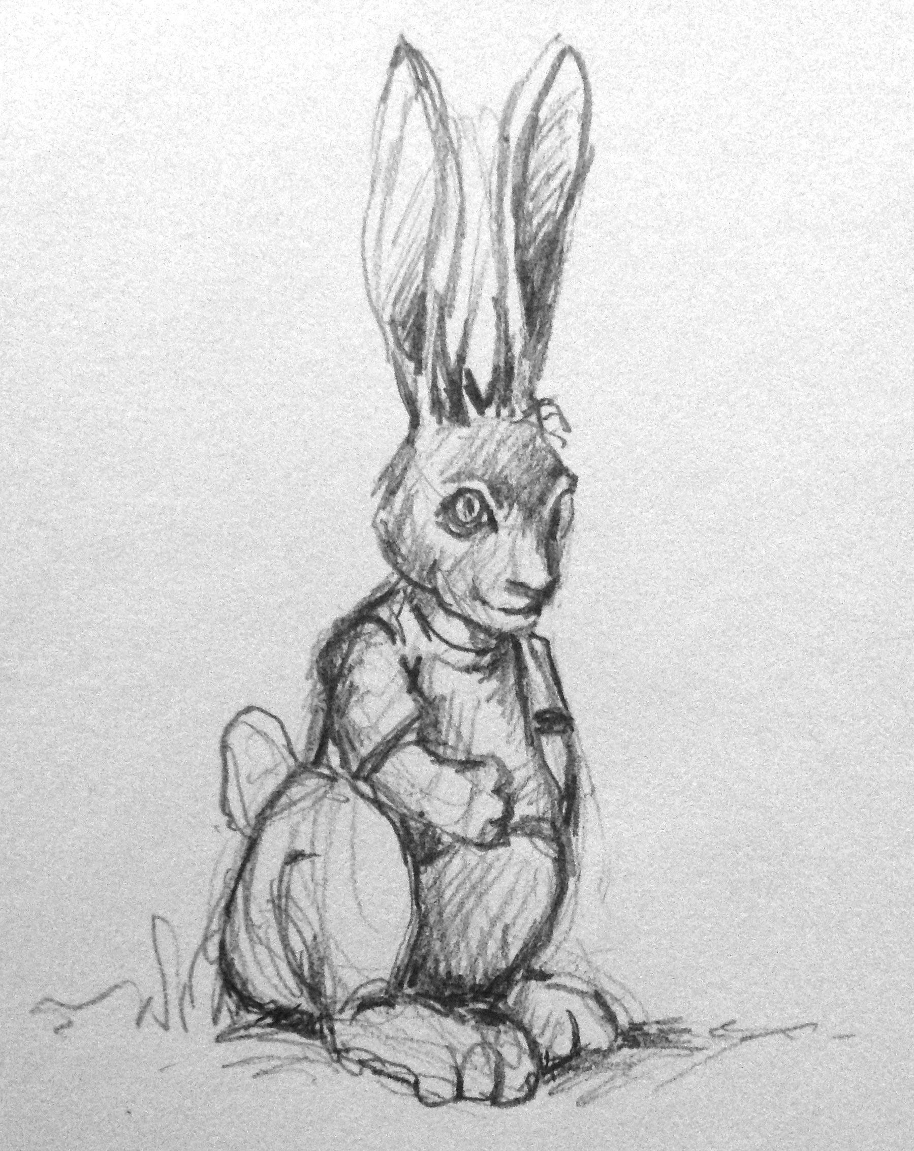 Rough sketch 1