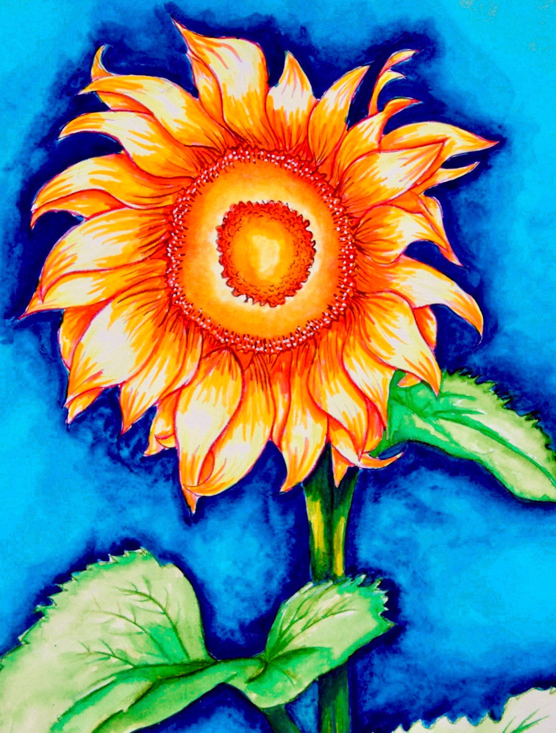 Sunflower - watercolors on paper.