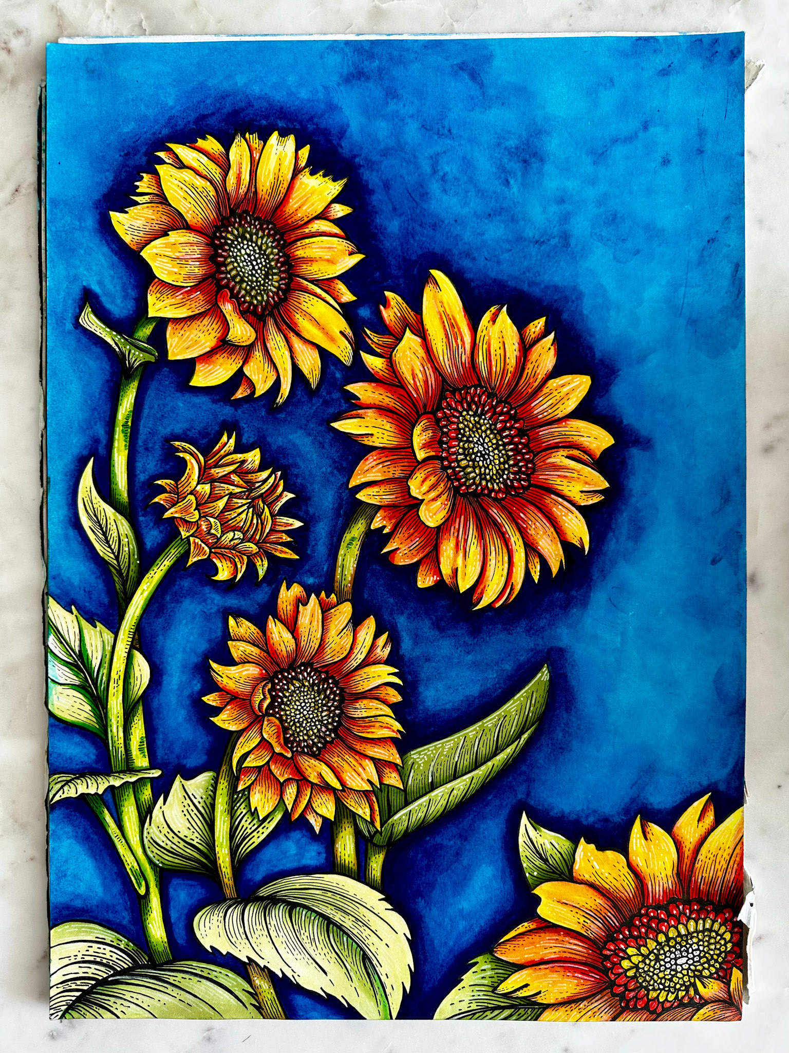Sunflowers - watercolors on paper