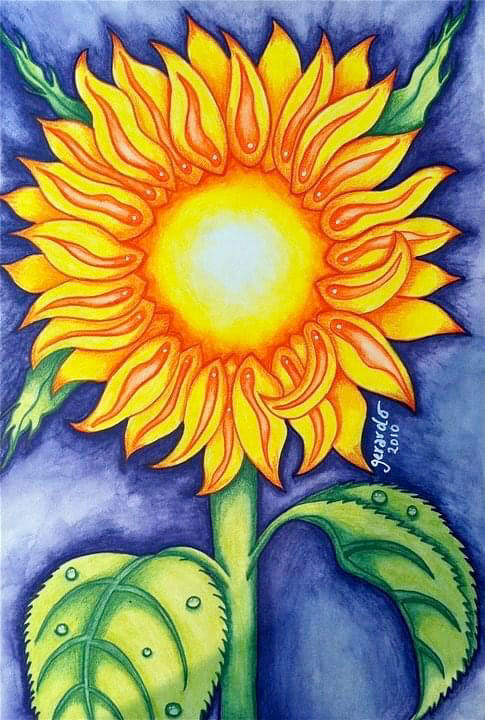 Sunflower - watercolors on paper