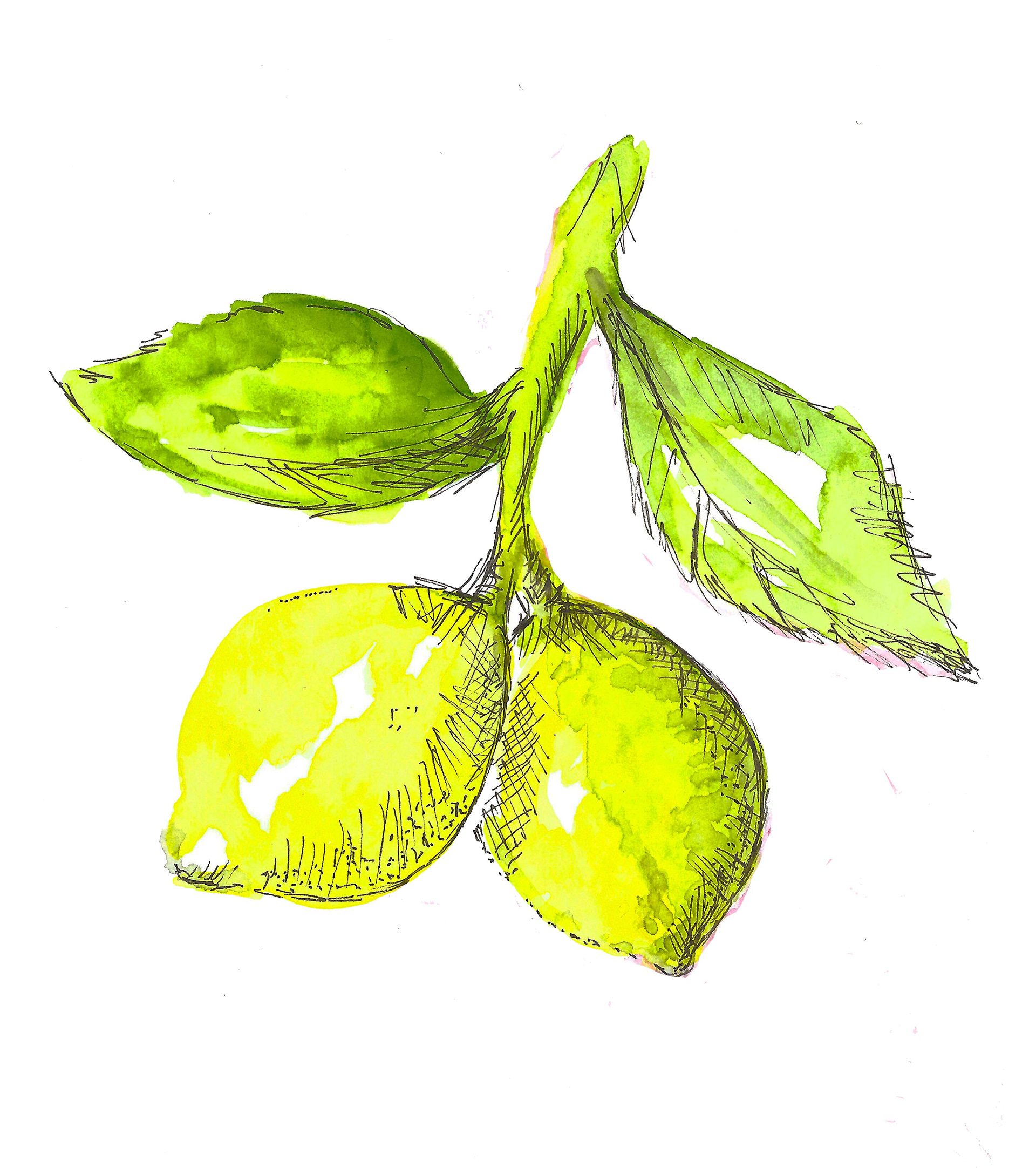 Lemons