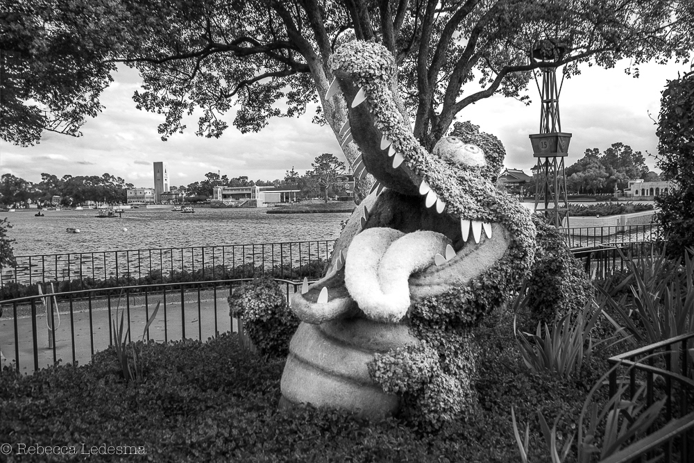 Alligator with Clock