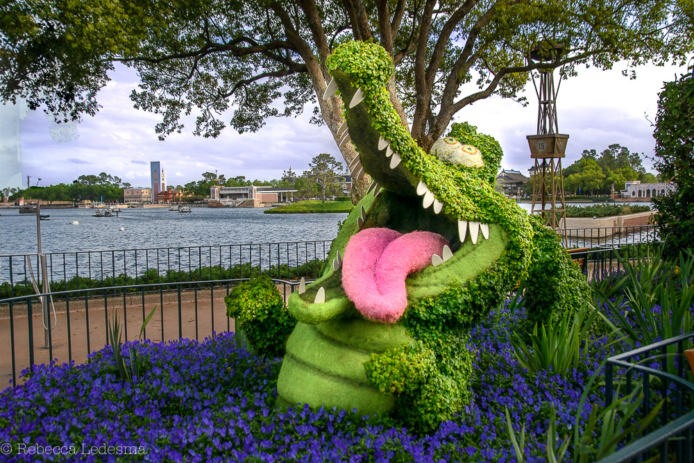 Alligator with Clock