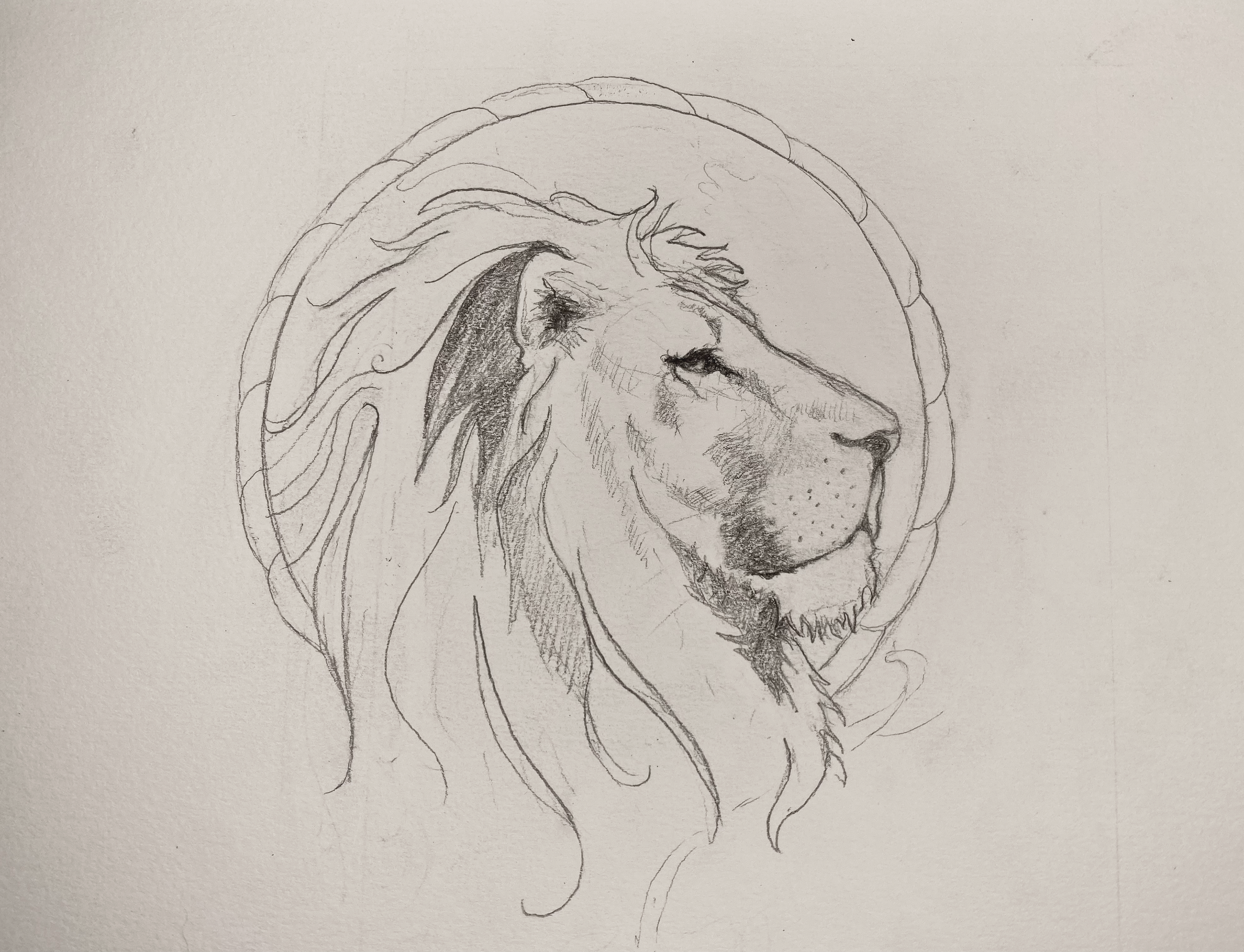 Graphite rapid visualization