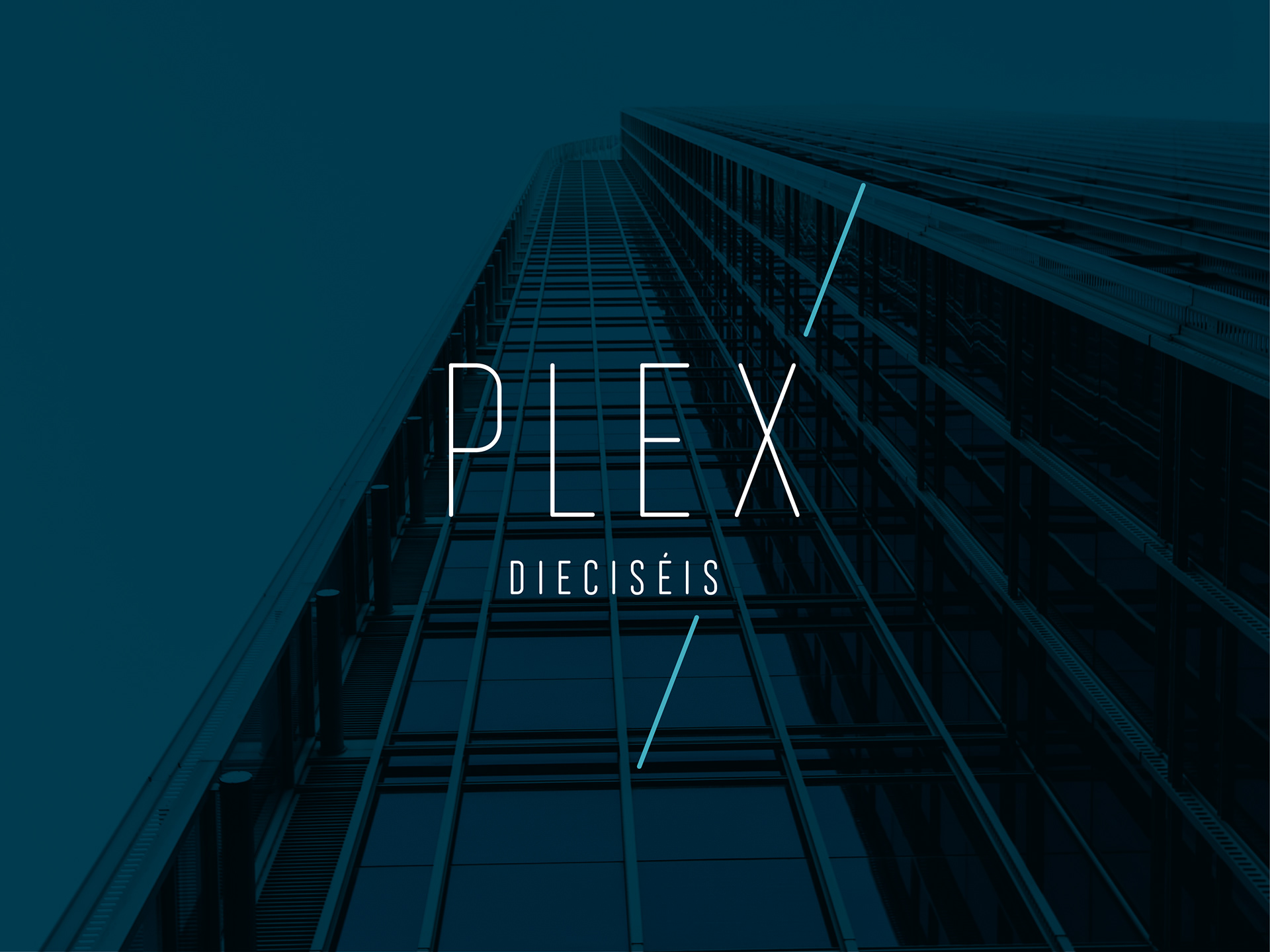 Susan Heilbron - Plex Dieciséis