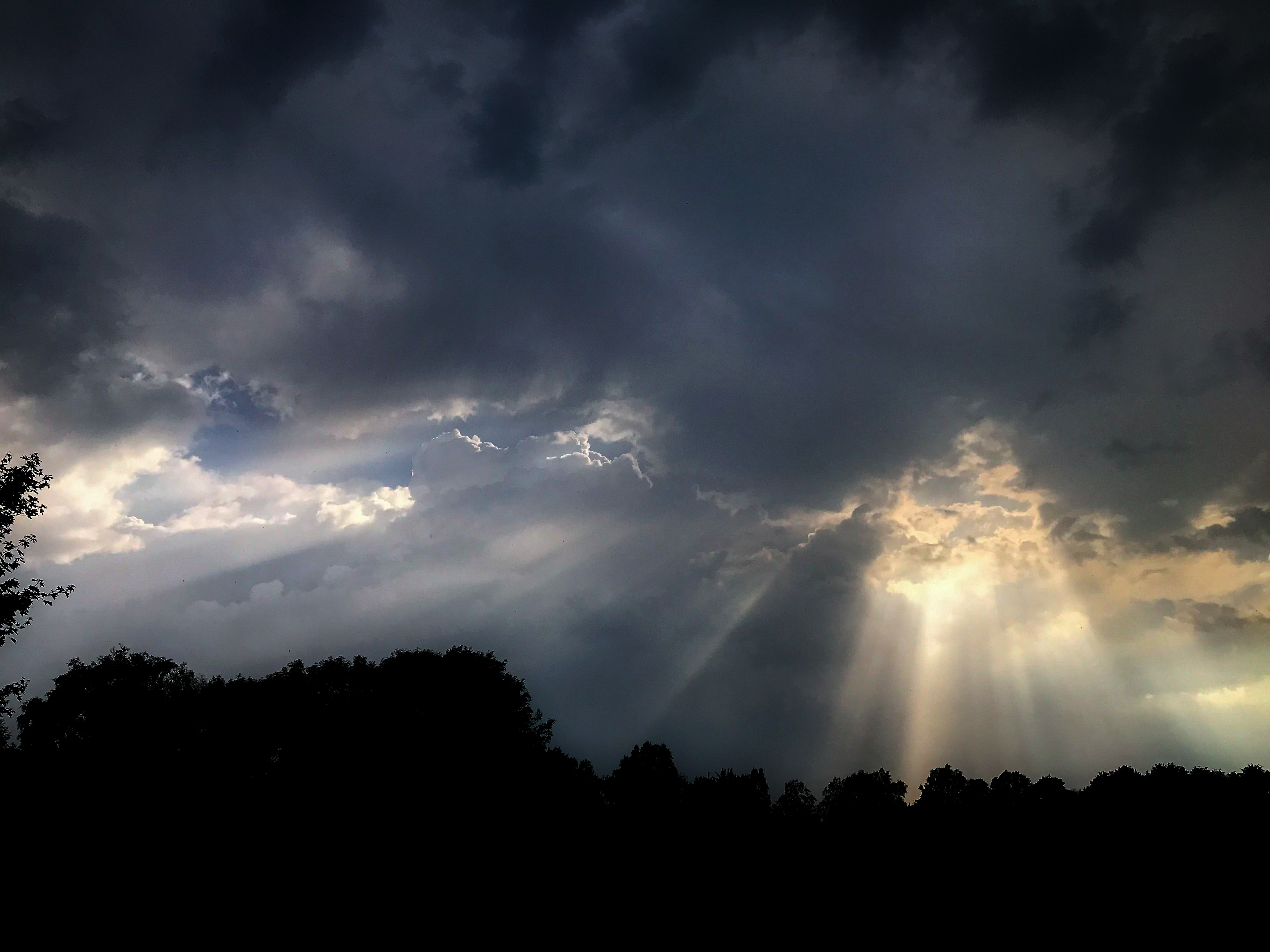 Heron cross fields