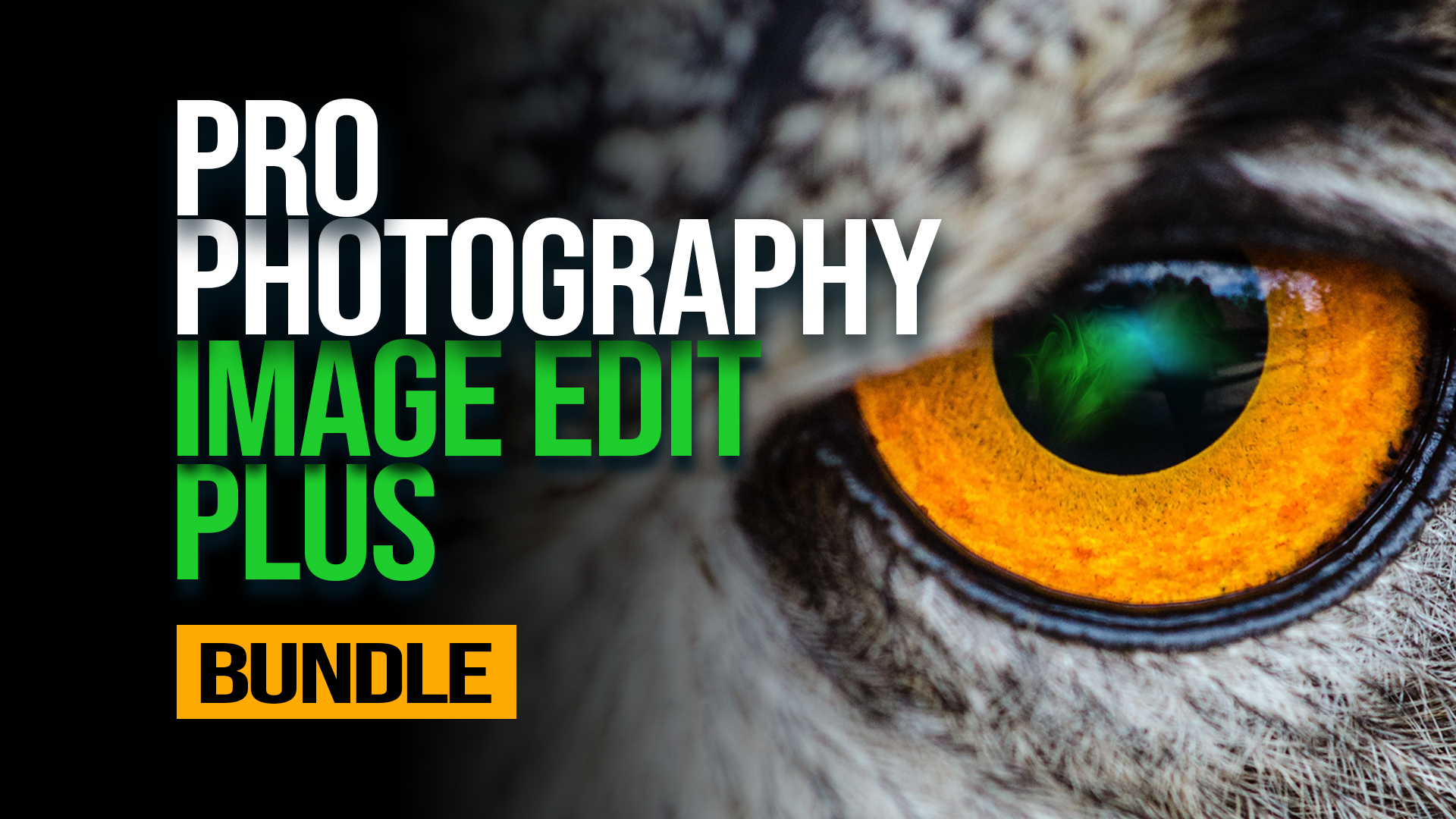 E-Learning bundle Pack shot for Fanatical