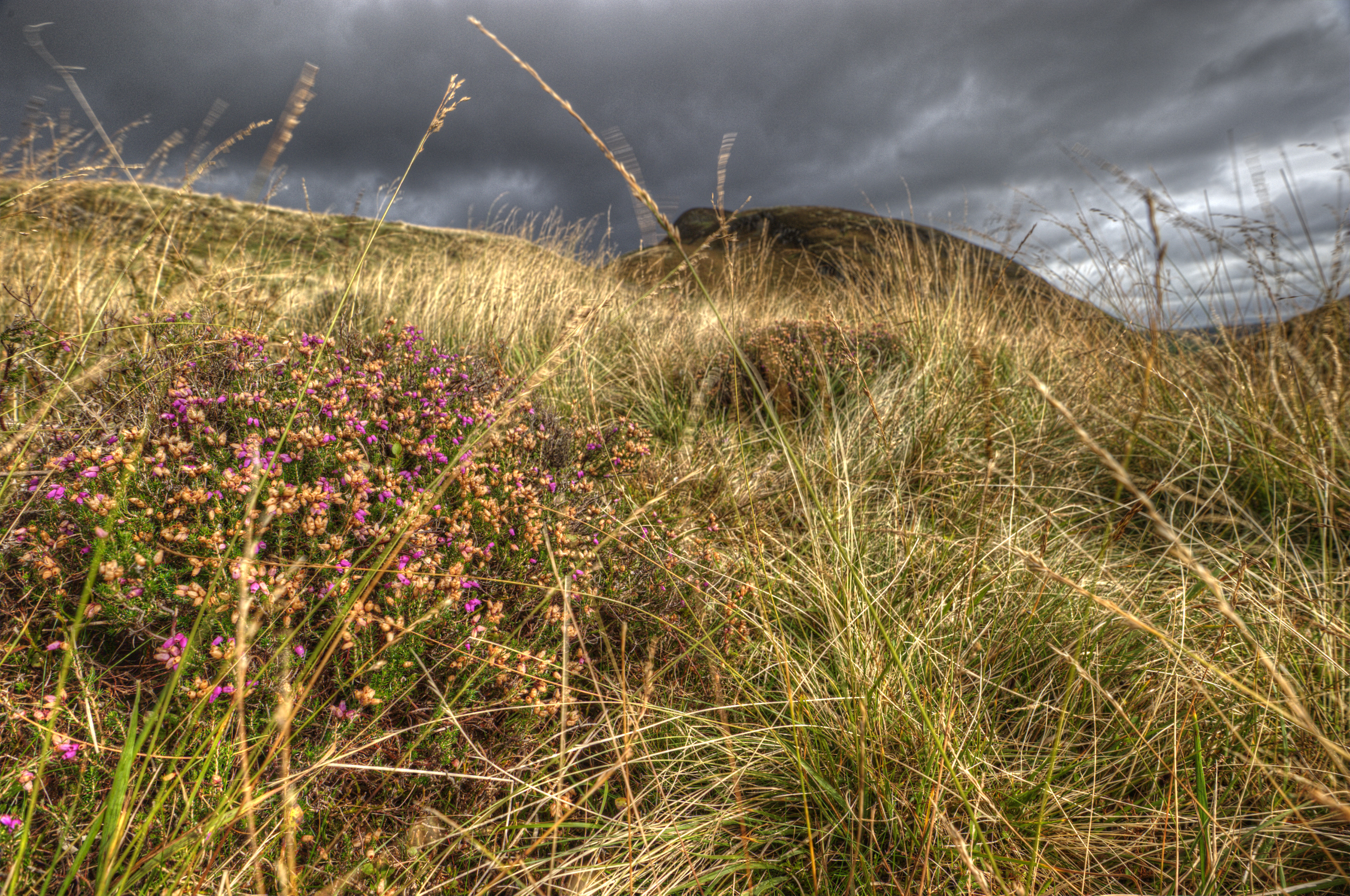 Scotland